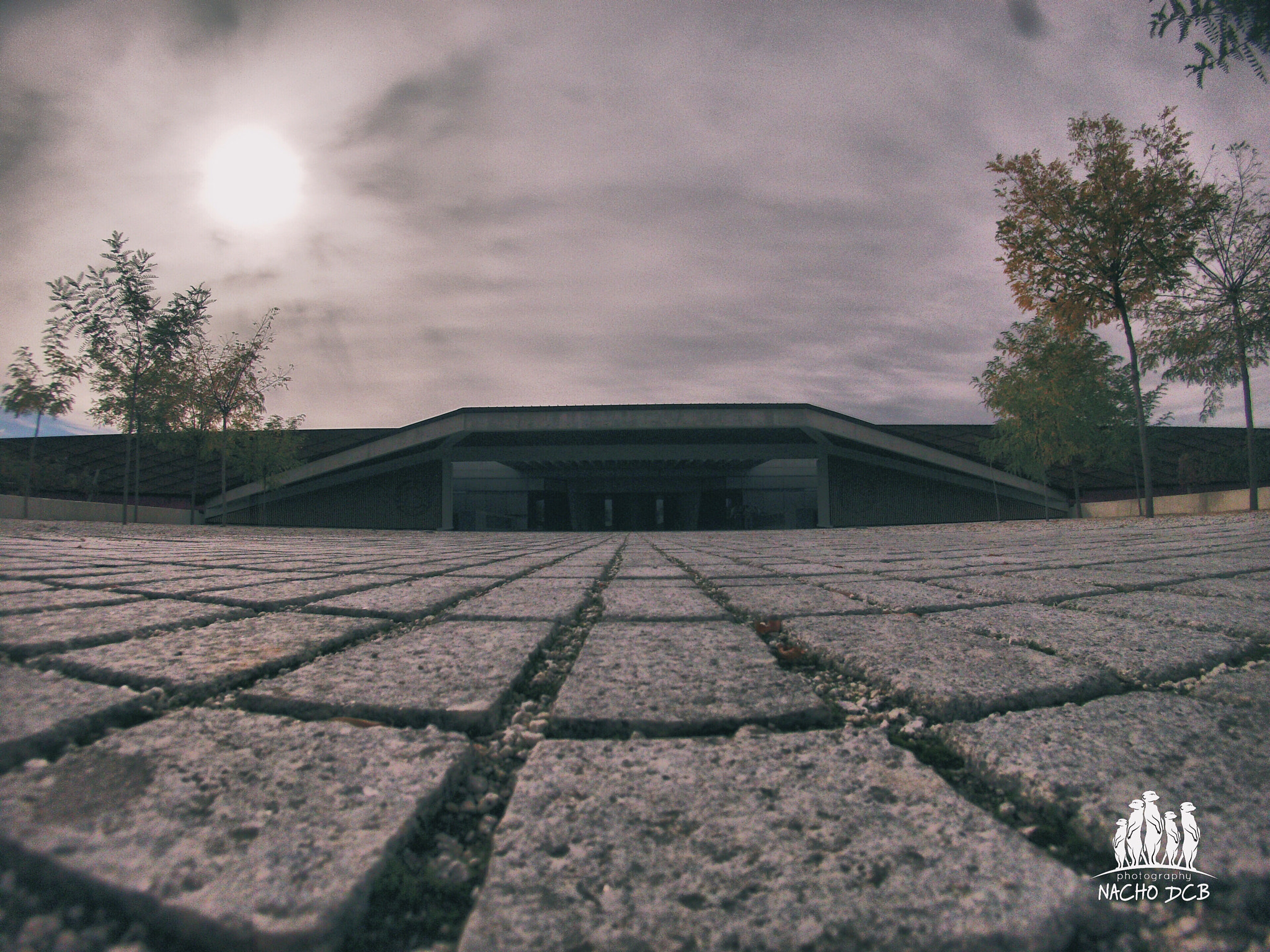 GoPro Hero3-Silver Edition sample photo. Marte... photography