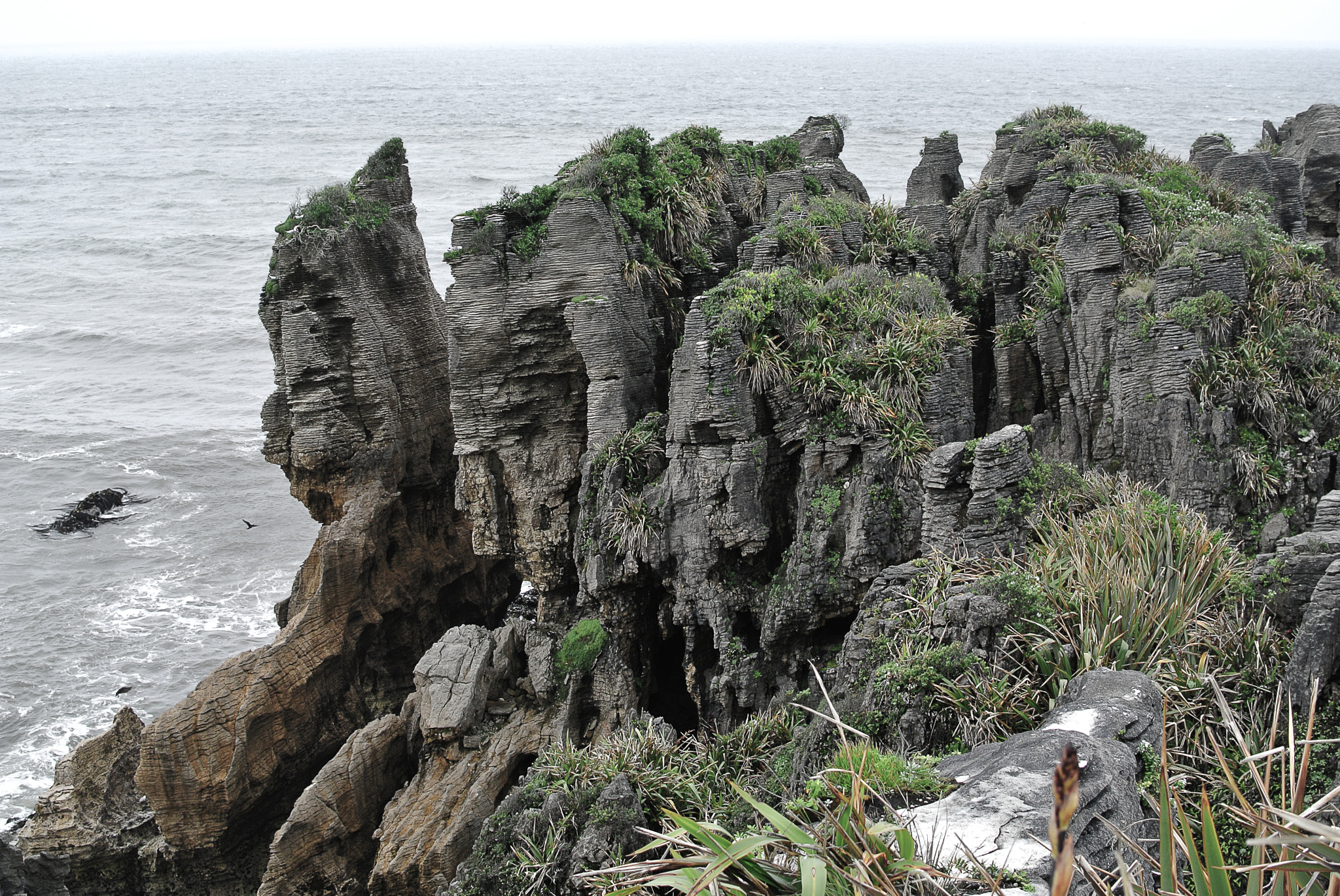 Nikon 1 V1 + Nikon 1 Nikkor 18.5mm F1.8 sample photo. Pancake rocks - greymouth - new zealand photography
