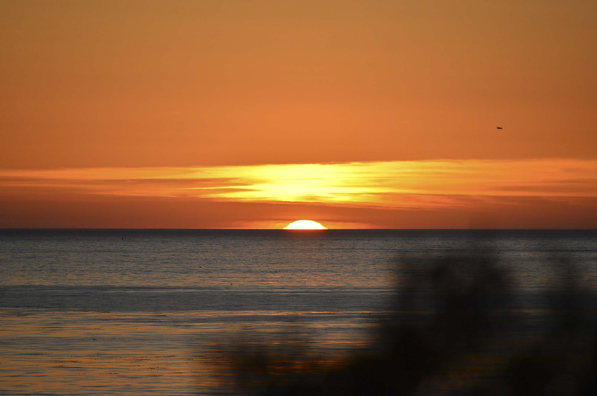 Nikon D4 sample photo. My last american bike tour photography