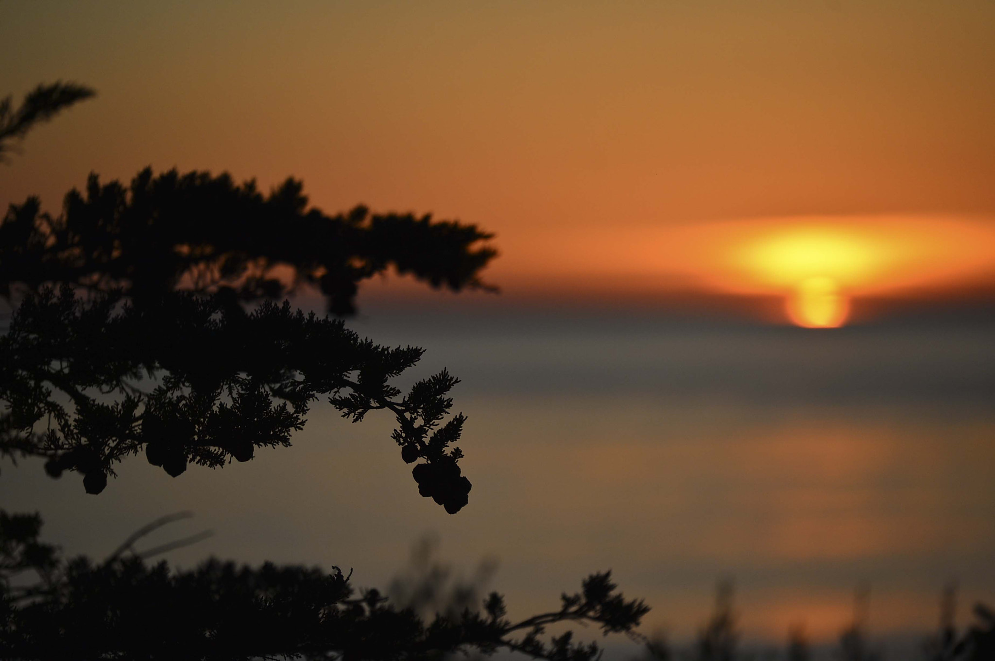 Nikon D4 sample photo. My last american bike tour photography