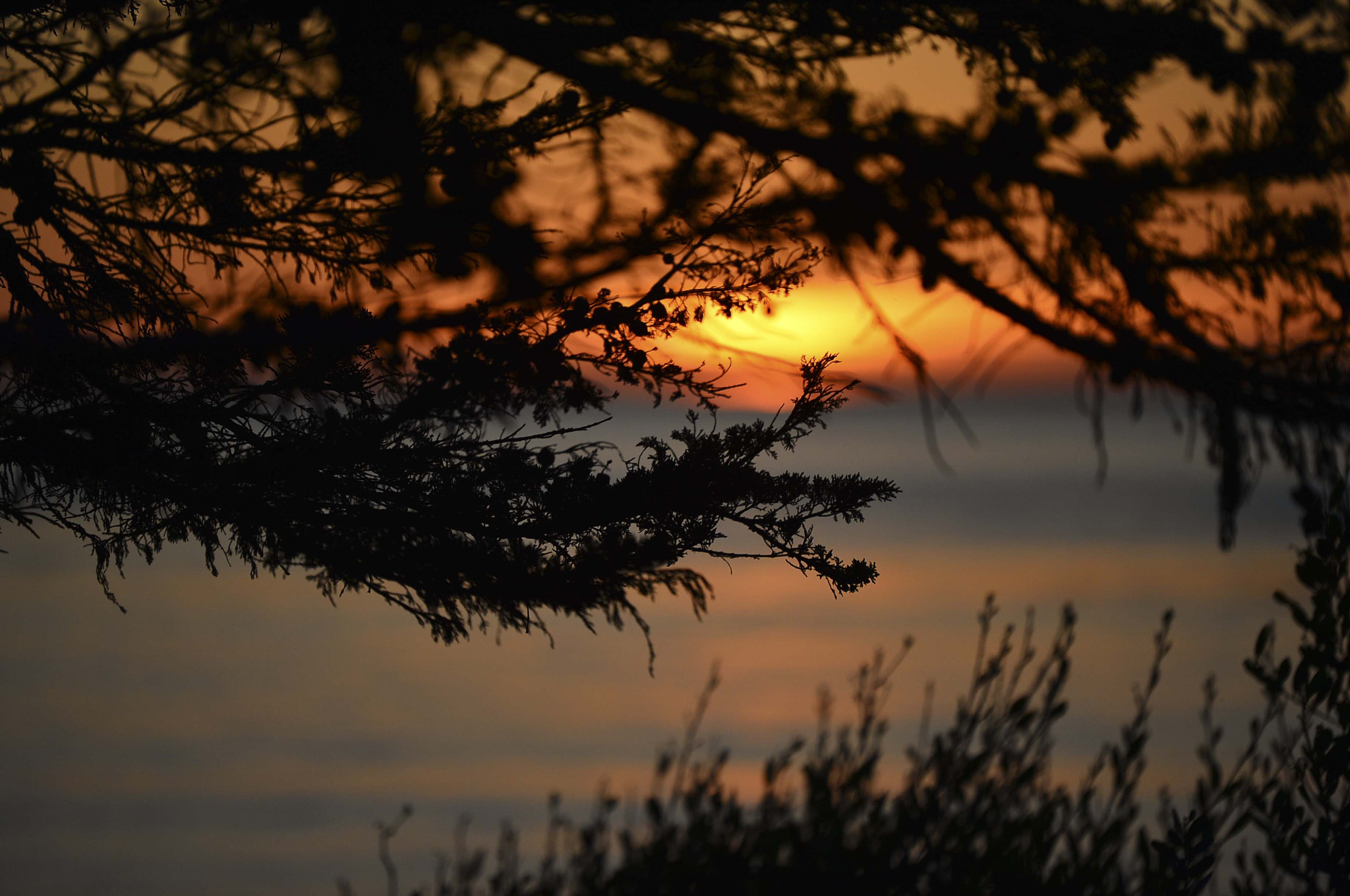 Sigma 50mm F2.8 EX DG Macro sample photo. My last american bike tour photography