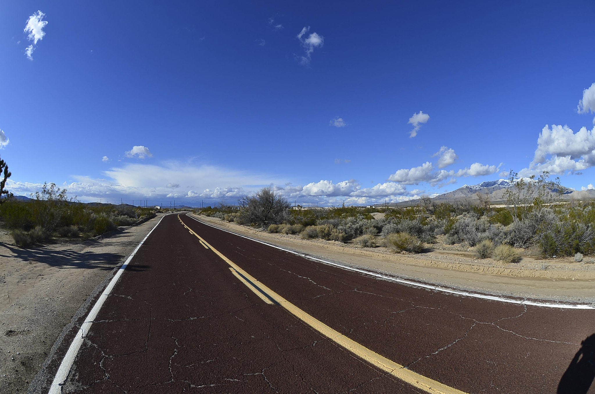 Nikon D4 sample photo. My last american bike tour photography