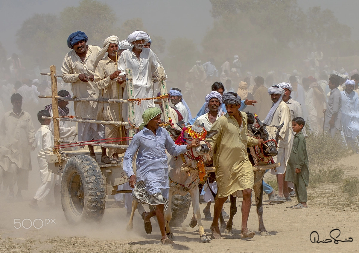 Canon EOS 40D + Canon EF 100-300mm f/5.6L sample photo. Culture of rural pakistan photography