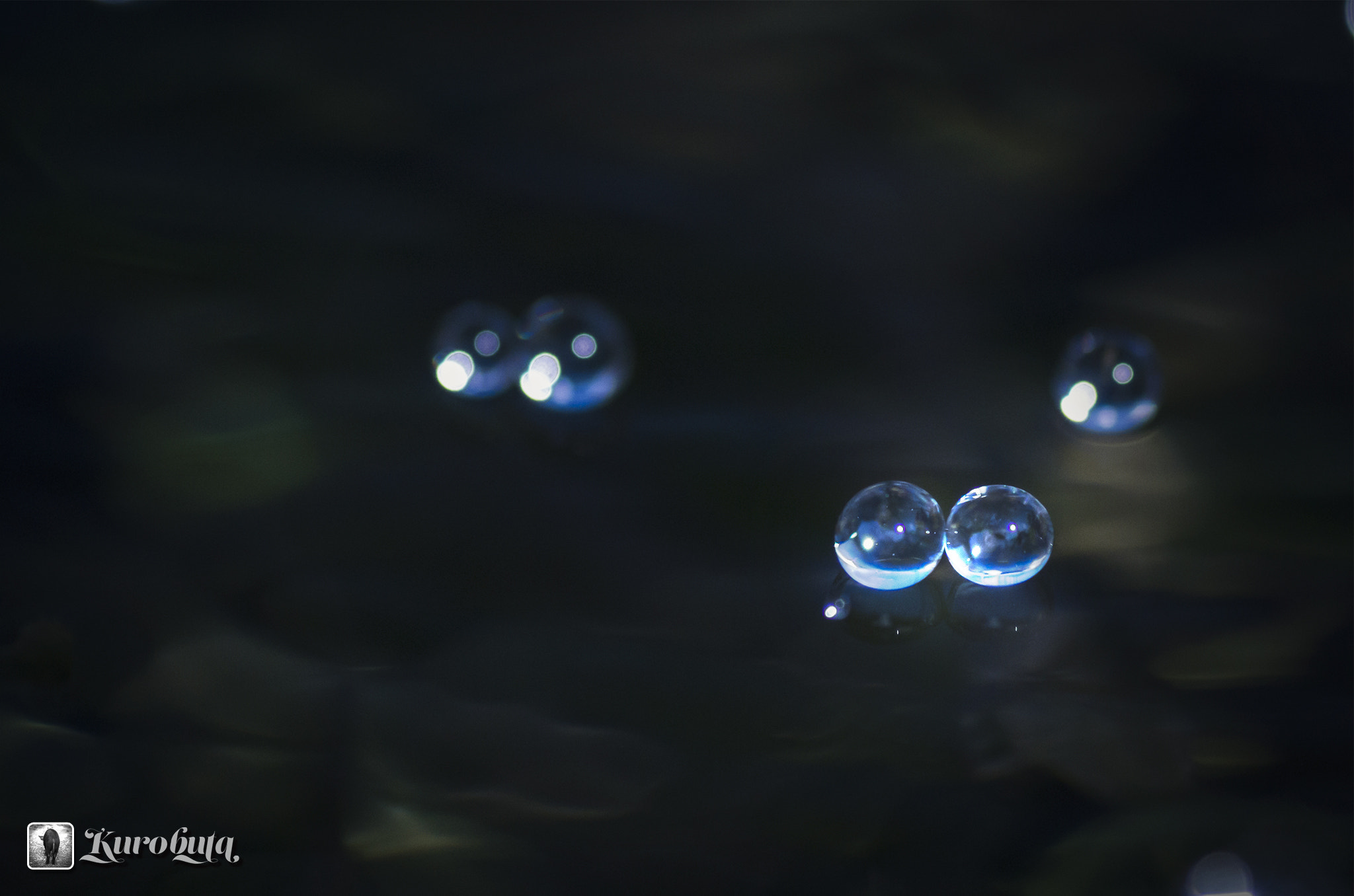 Pentax smc D-FA 100mm F2.8 Macro WR sample photo. Snuggle photography