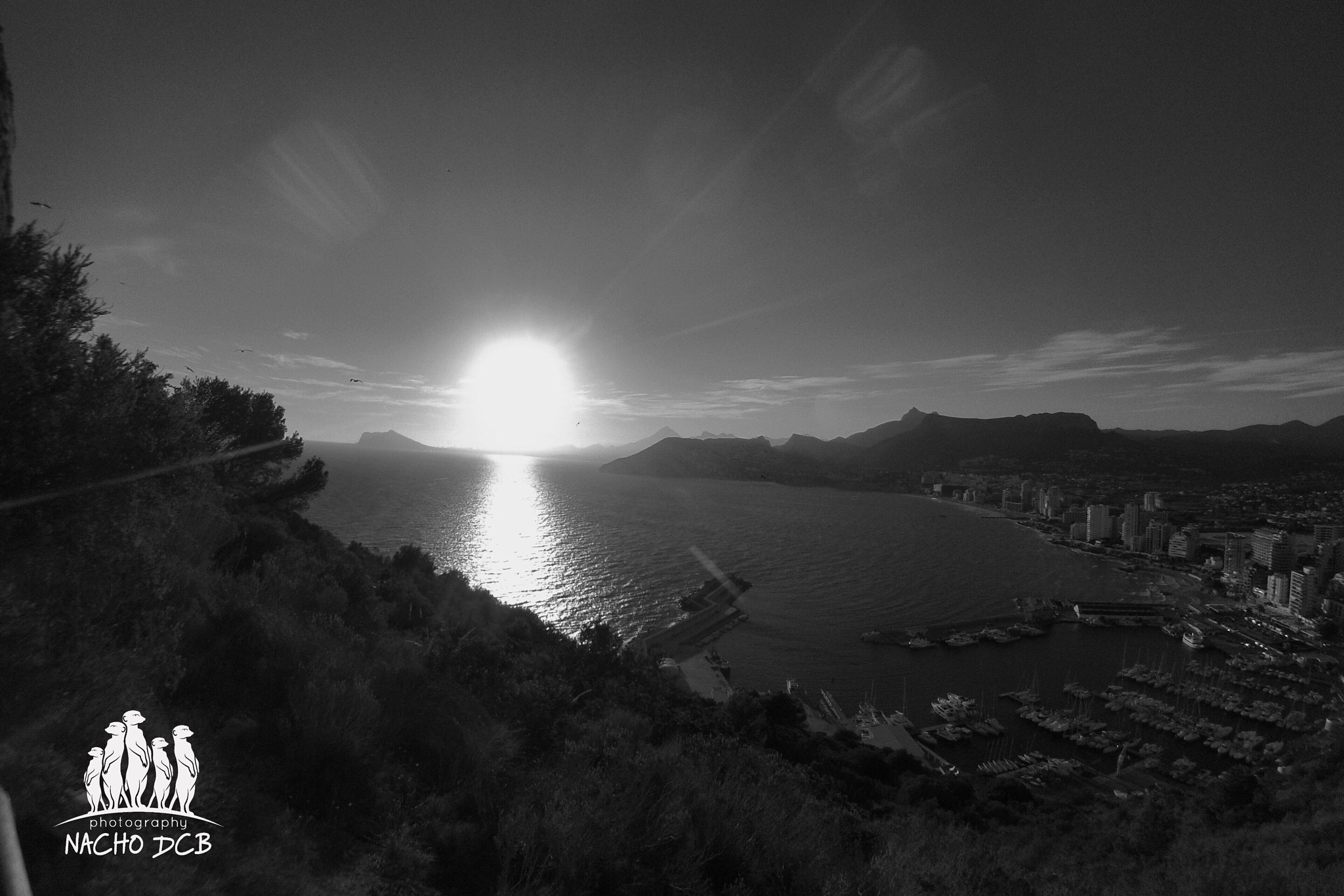 GoPro Hero3-Silver Edition sample photo. Bye... photography