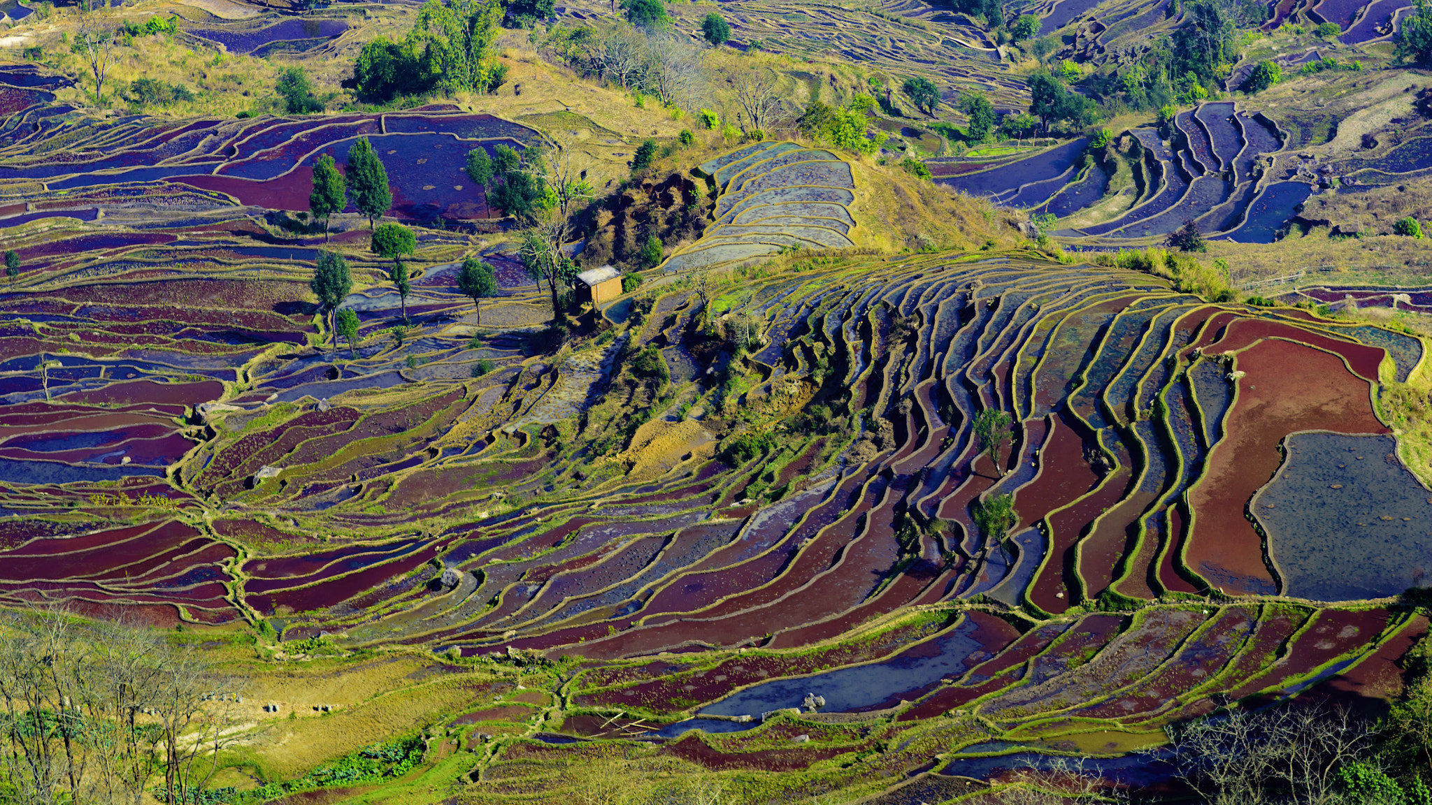 Nikon D750 + AF Nikkor 180mm f/2.8 IF-ED sample photo. Yunnan hani terraced fields photography