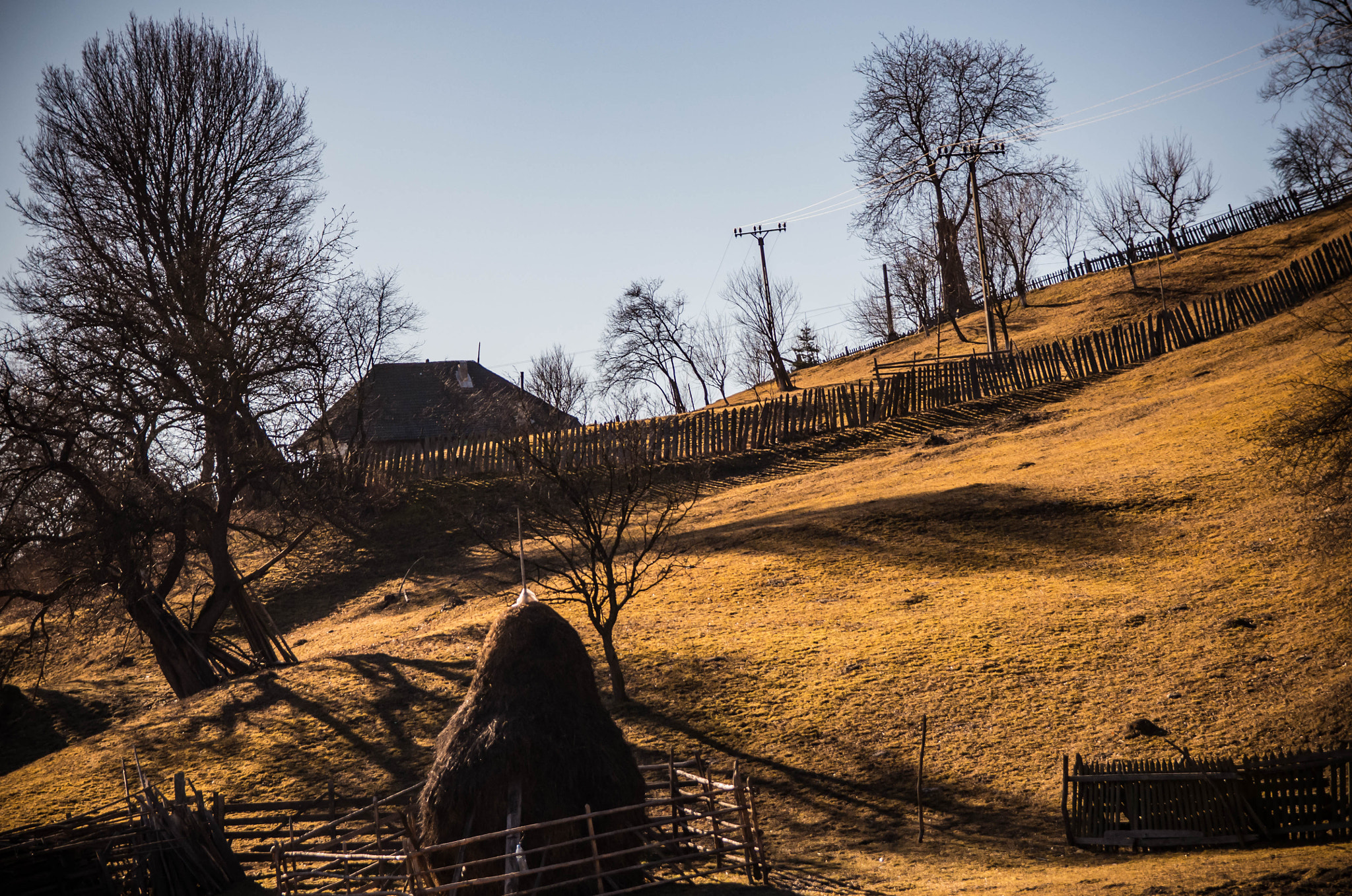 Sigma 17-50mm F2.8 EX DC HSM sample photo. Life in the countryside photography