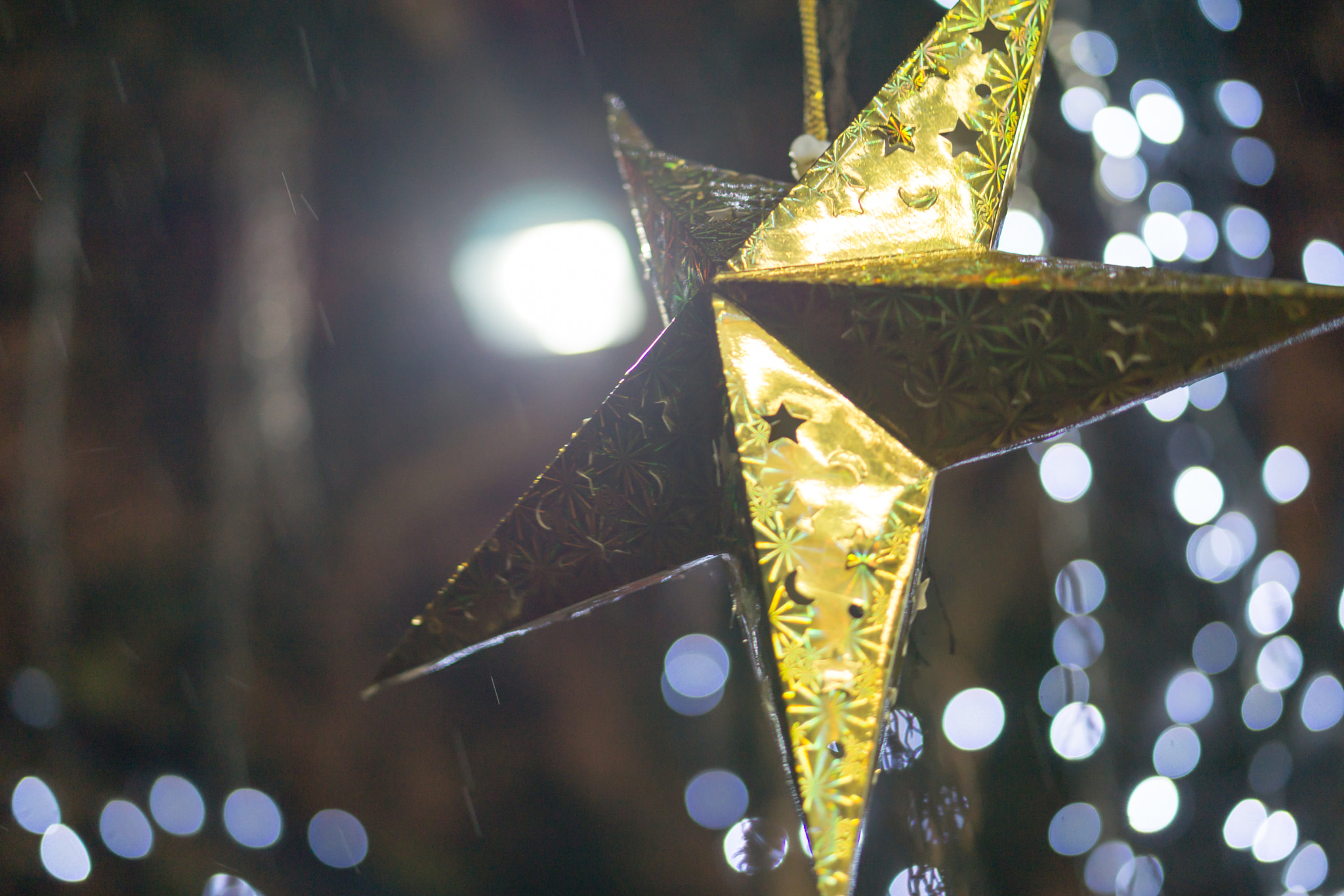 Sony a5100 + E 50mm F1.8 OSS sample photo. Chrismas star photography