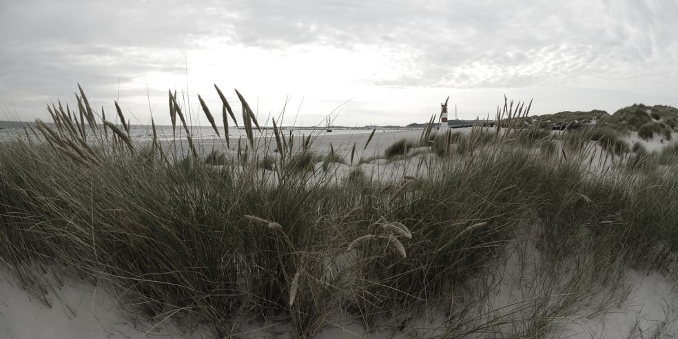 Nikon AF DX Fisheye-Nikkor 10.5mm F2.8G ED sample photo. Helgoland badestrand photography