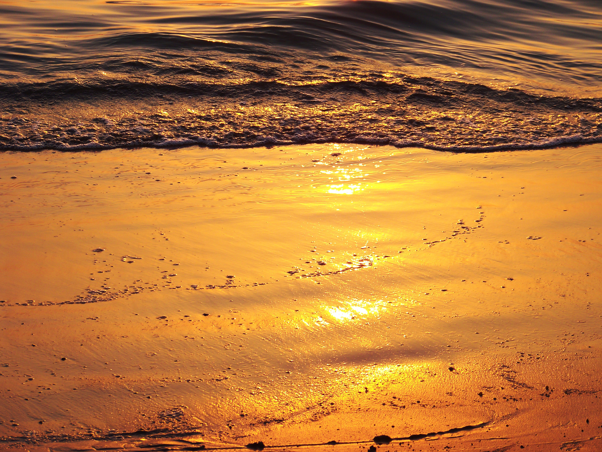 Kodak EASYSHARE Z1012 IS DIGITAL CAMERA sample photo. The golden beach photography
