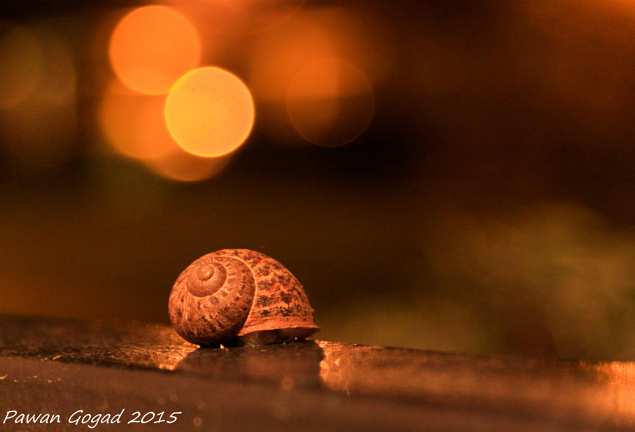 Canon EF 28-105mm f/3.5-4.5 USM sample photo. Home photography