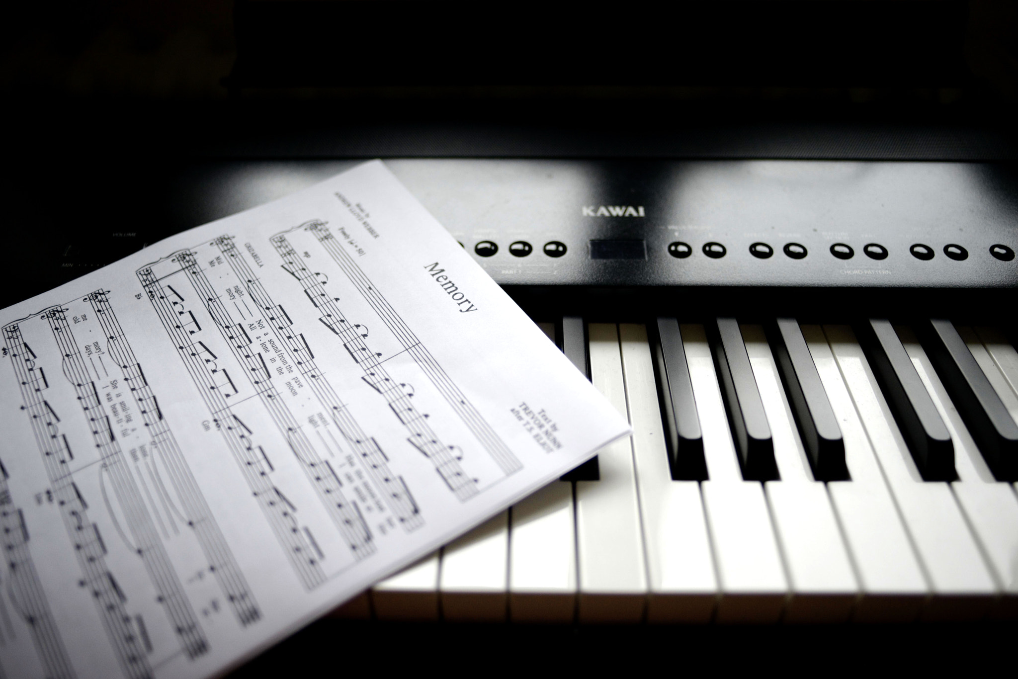 ZEISS Distagon T* 28mm F2 sample photo. Piano photography