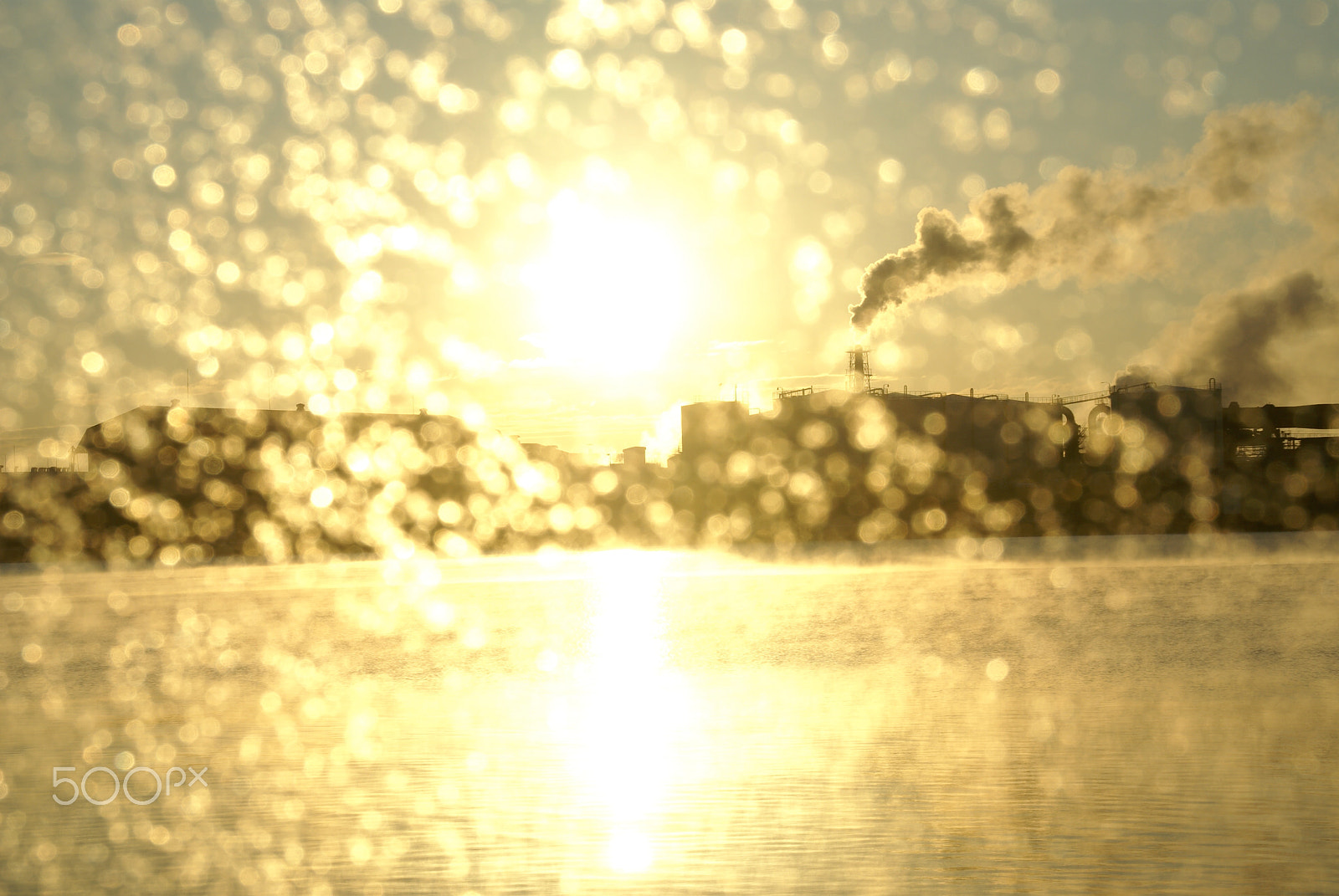 Sony Alpha DSLR-A100 sample photo. Z001 photography