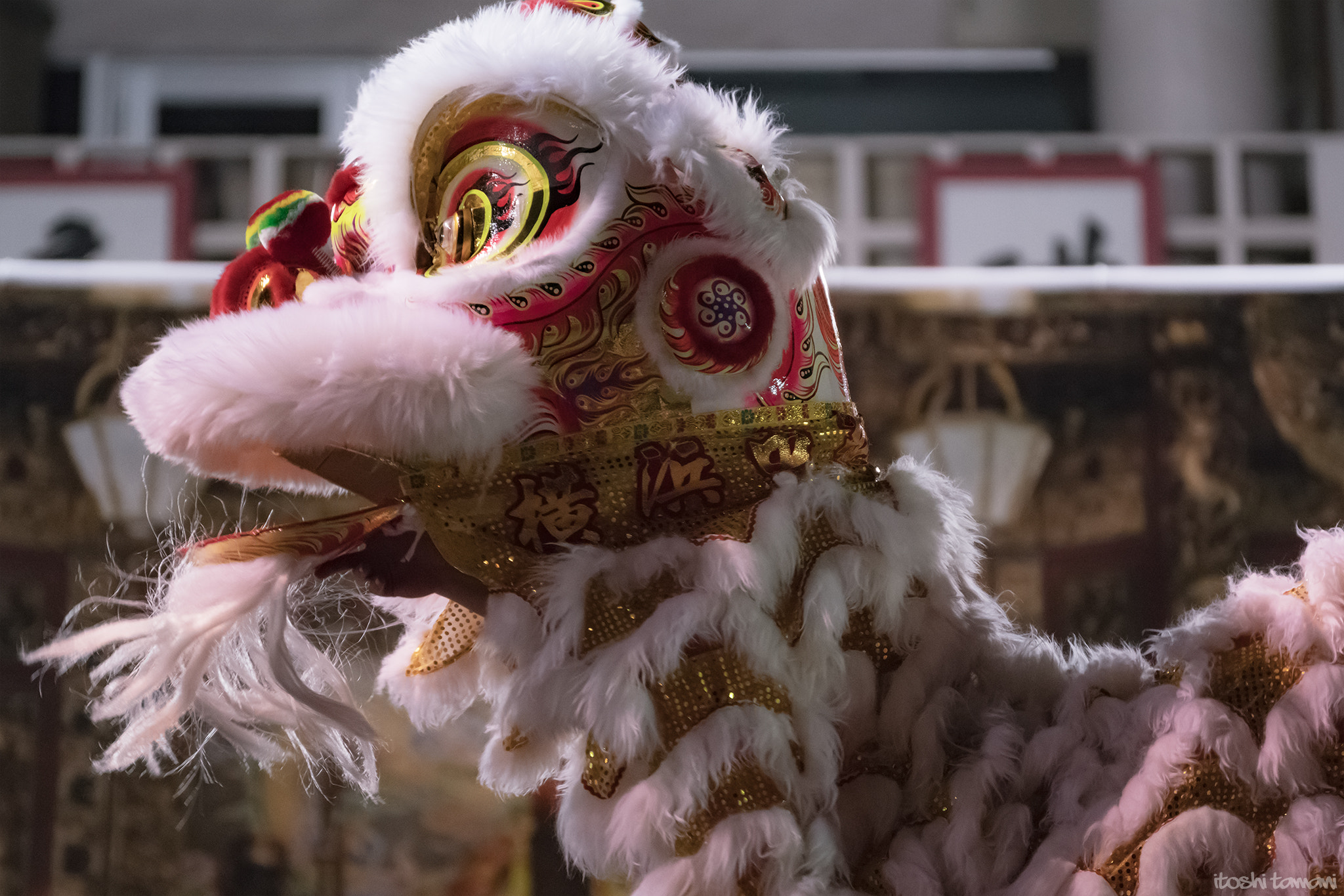 Sony 70-300mm F4.5-5.6 G SSM II sample photo. Chinese lion dance photography
