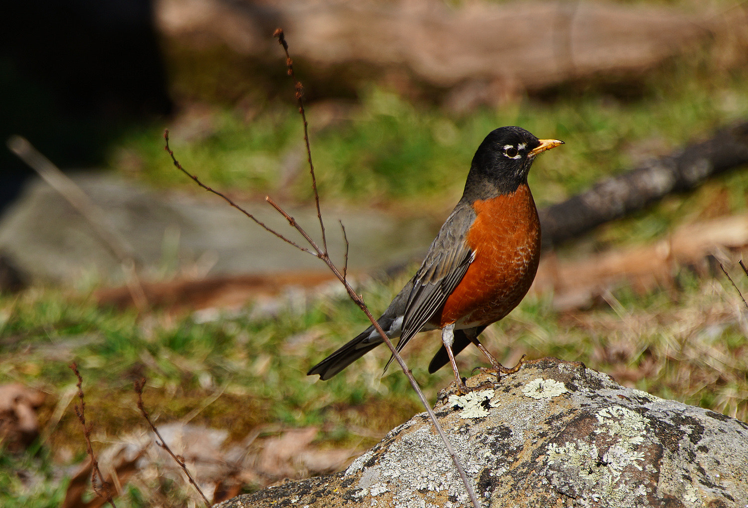 140-400mm F5.6 G SSM OSS II sample photo. Top o' the rock photography