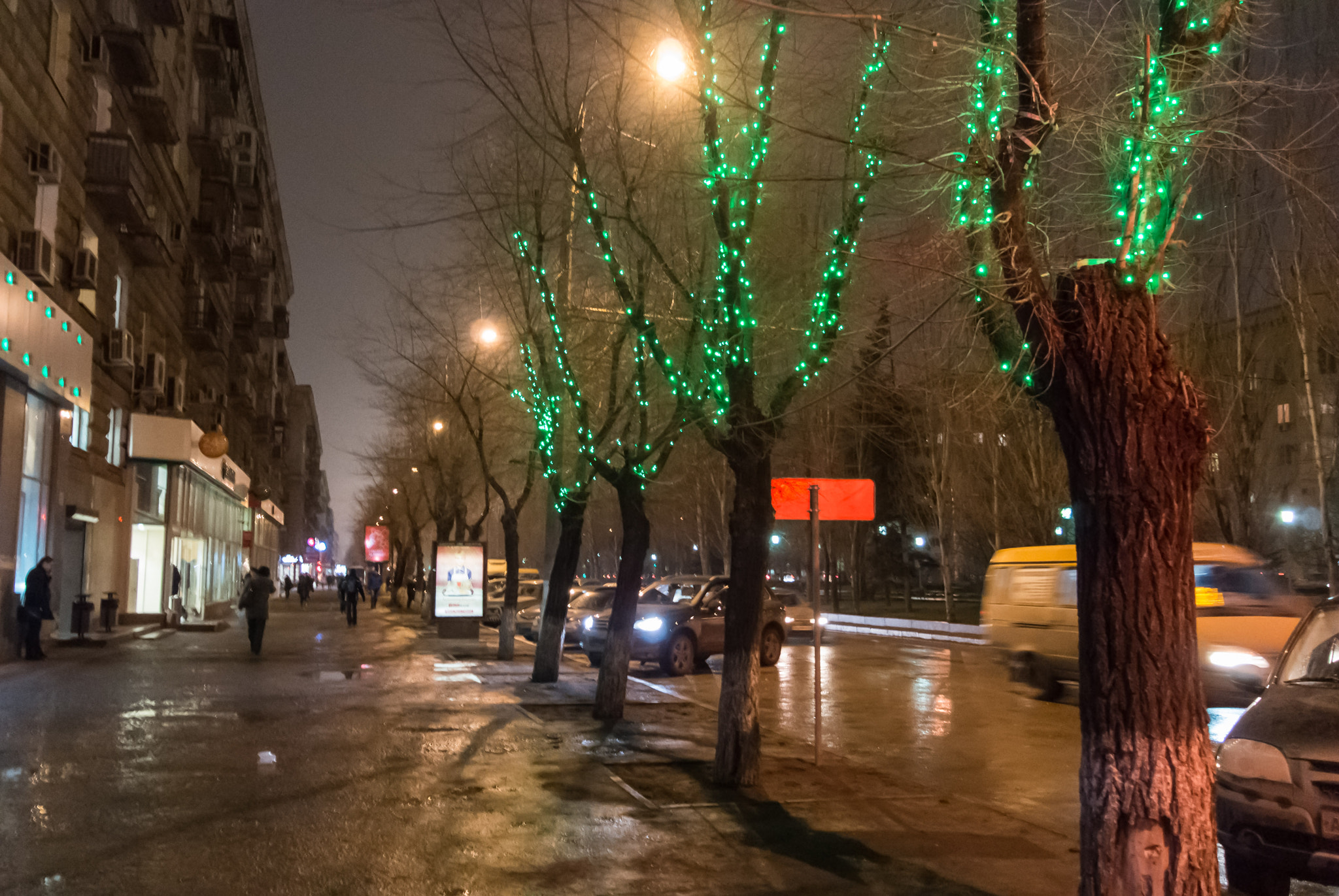Nikon 1 Nikkor 11-27.5mm F3.5-5.6 sample photo. Lights on trees photography