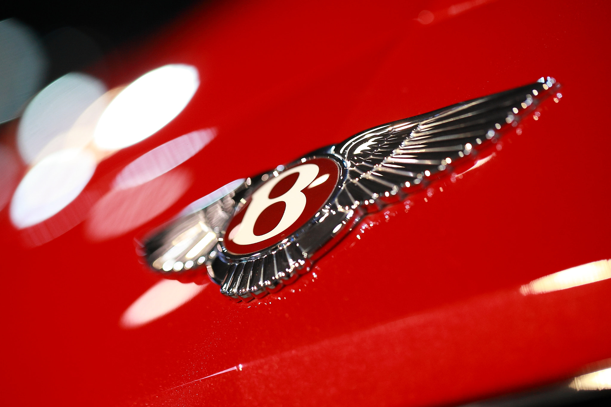 Canon EF 100mm F2.8L Macro IS USM sample photo