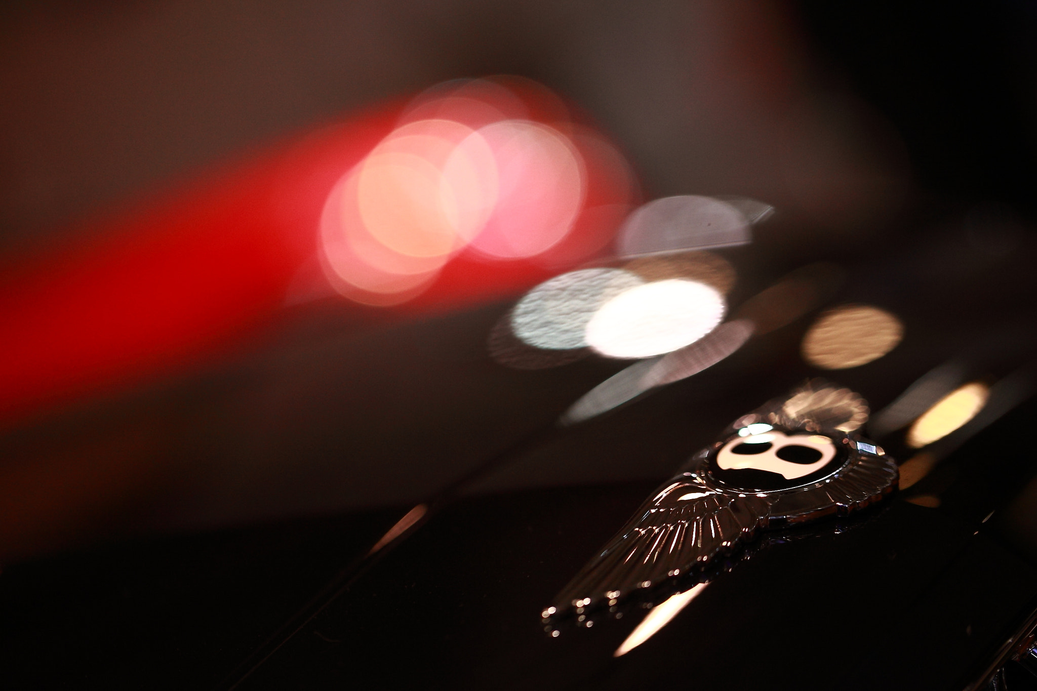 Canon EF 100mm F2.8L Macro IS USM sample photo