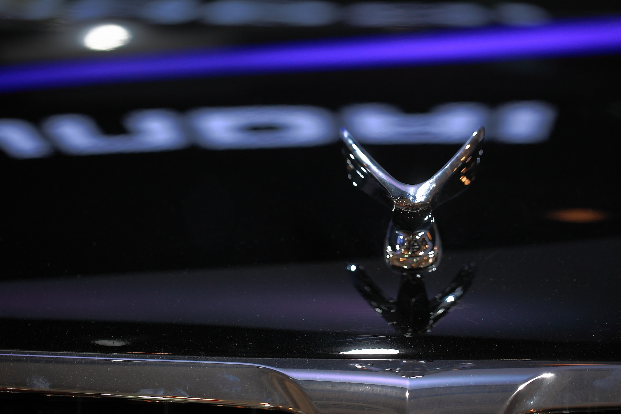 Canon EF 100mm F2.8L Macro IS USM sample photo