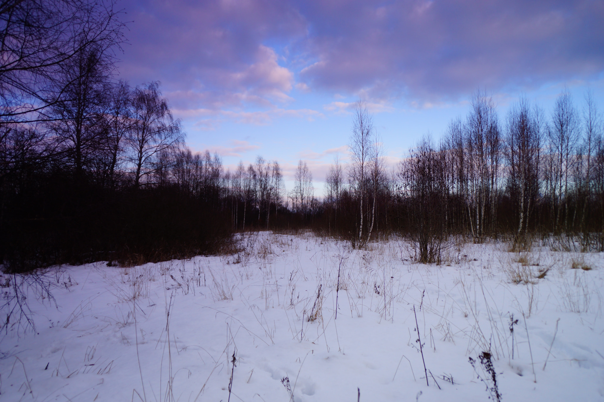 Sony SLT-A65 (SLT-A65V) sample photo. Sky photography