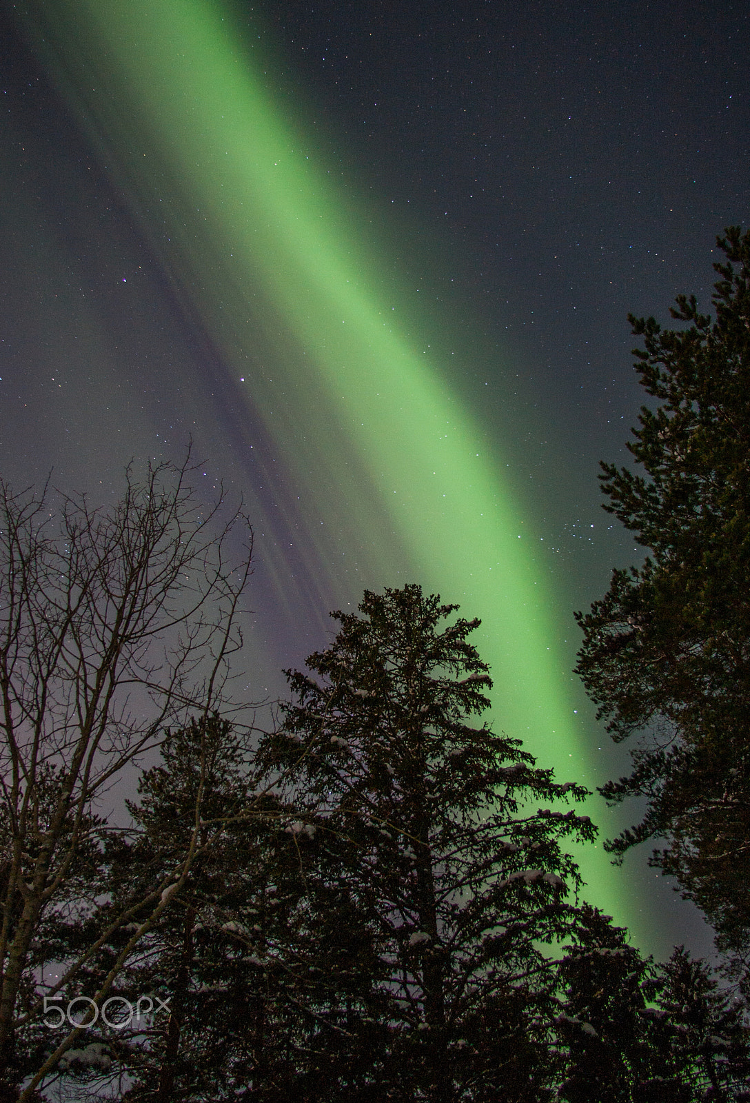 Canon EOS-1D Mark II sample photo. Aurora flash photography