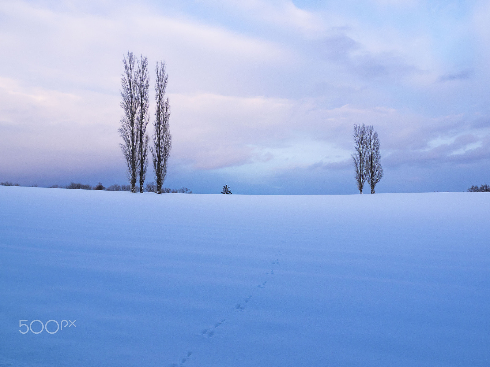 OLYMPUS 11-22mm Lens sample photo. 足跡 photography