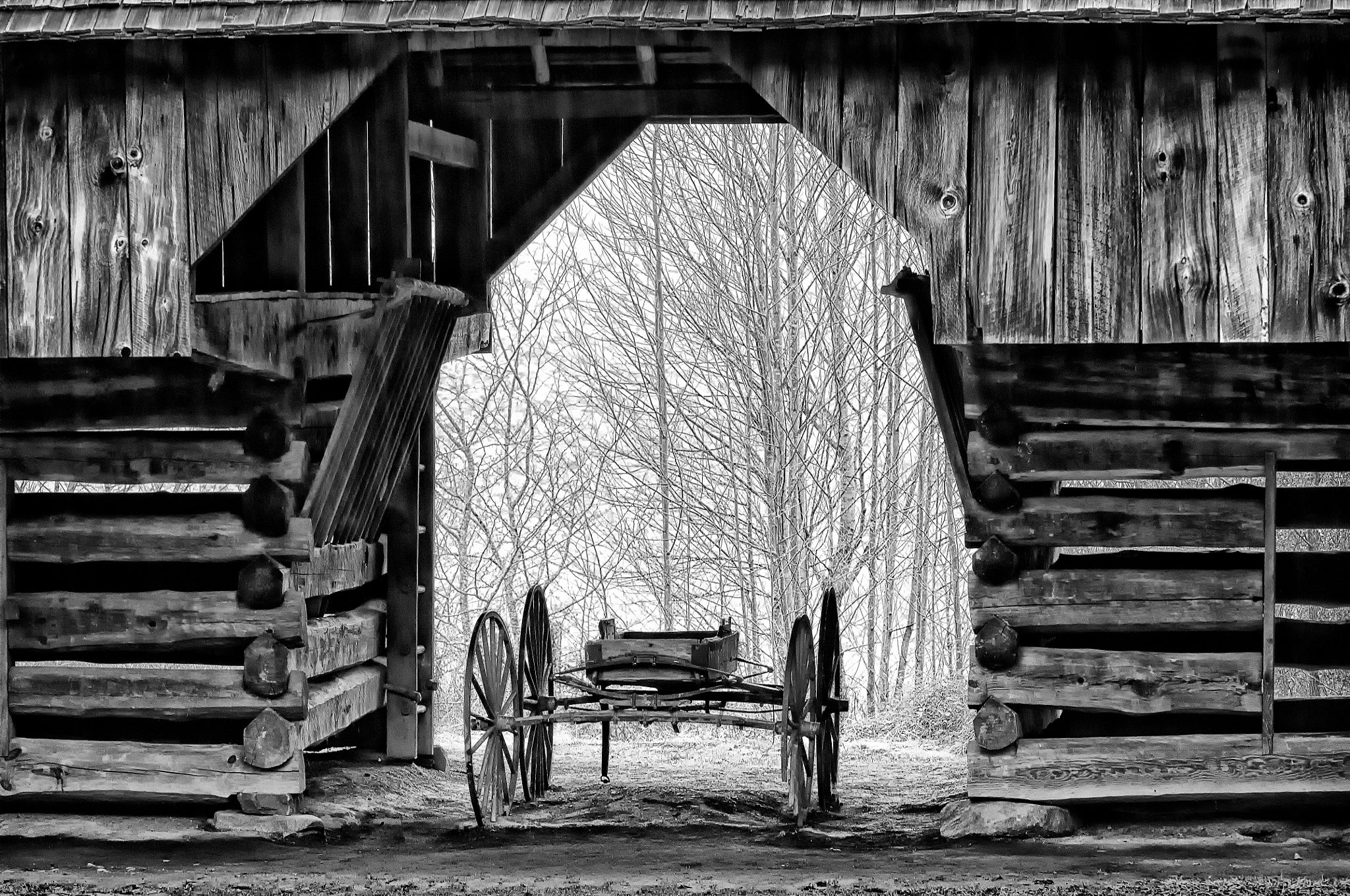 Nikon D2Xs sample photo. Cades cove buggy photography