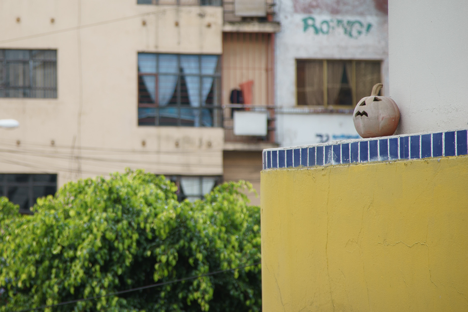 Sony a7 + Canon EF 24-105mm F4L IS USM sample photo. Dia de los muertos in mexico city photography