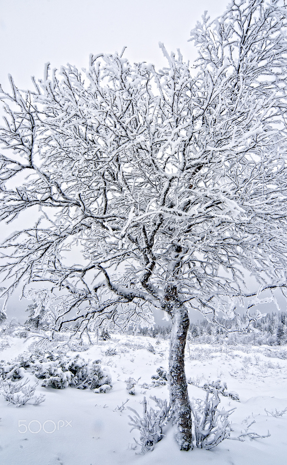 Sigma 12-24mm F4.5-5.6 EX DG Aspherical HSM sample photo. Winter landscape photography