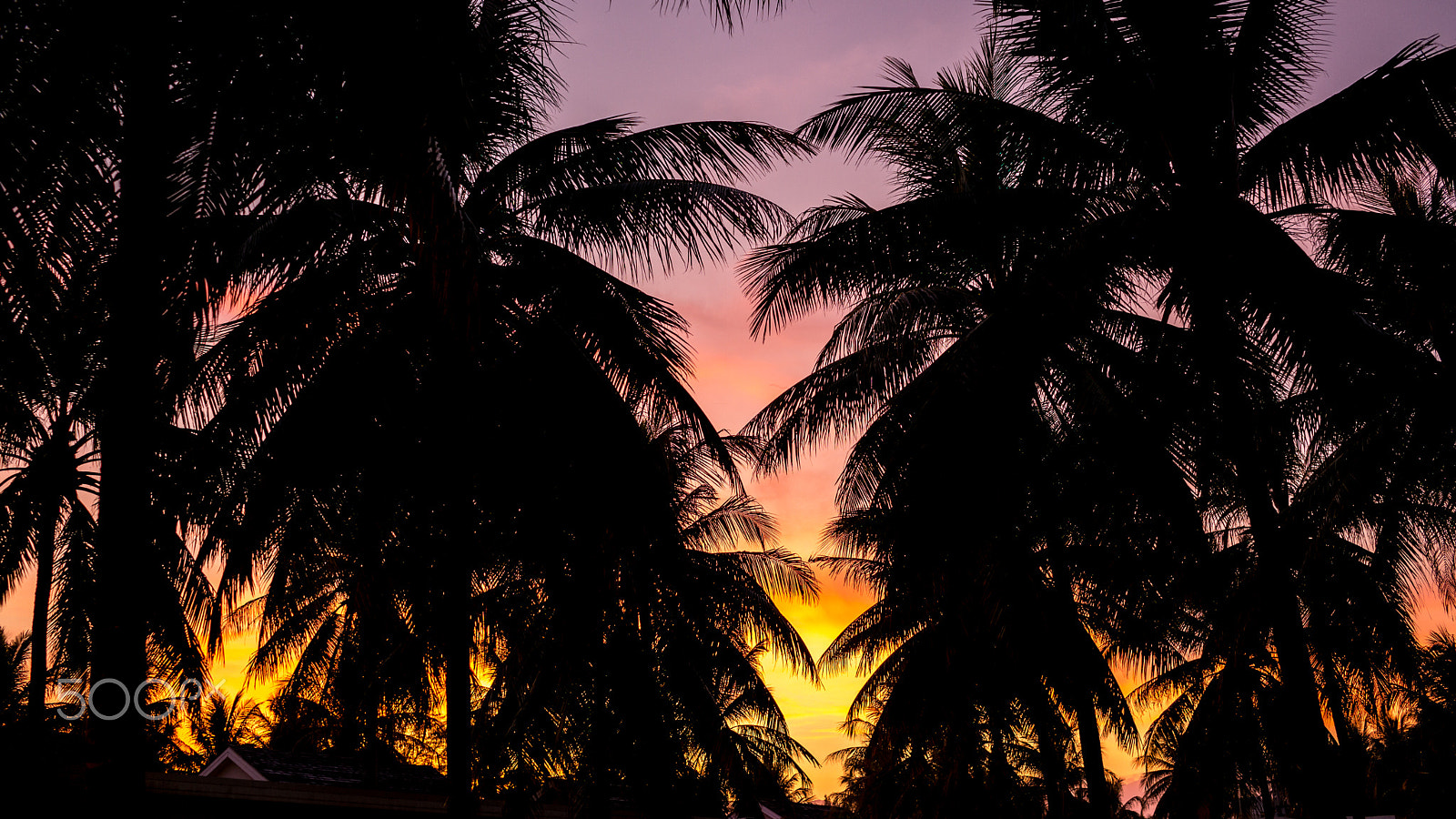 Leica Summarit-M 35mm F2.5 sample photo. Tropical paradise photography
