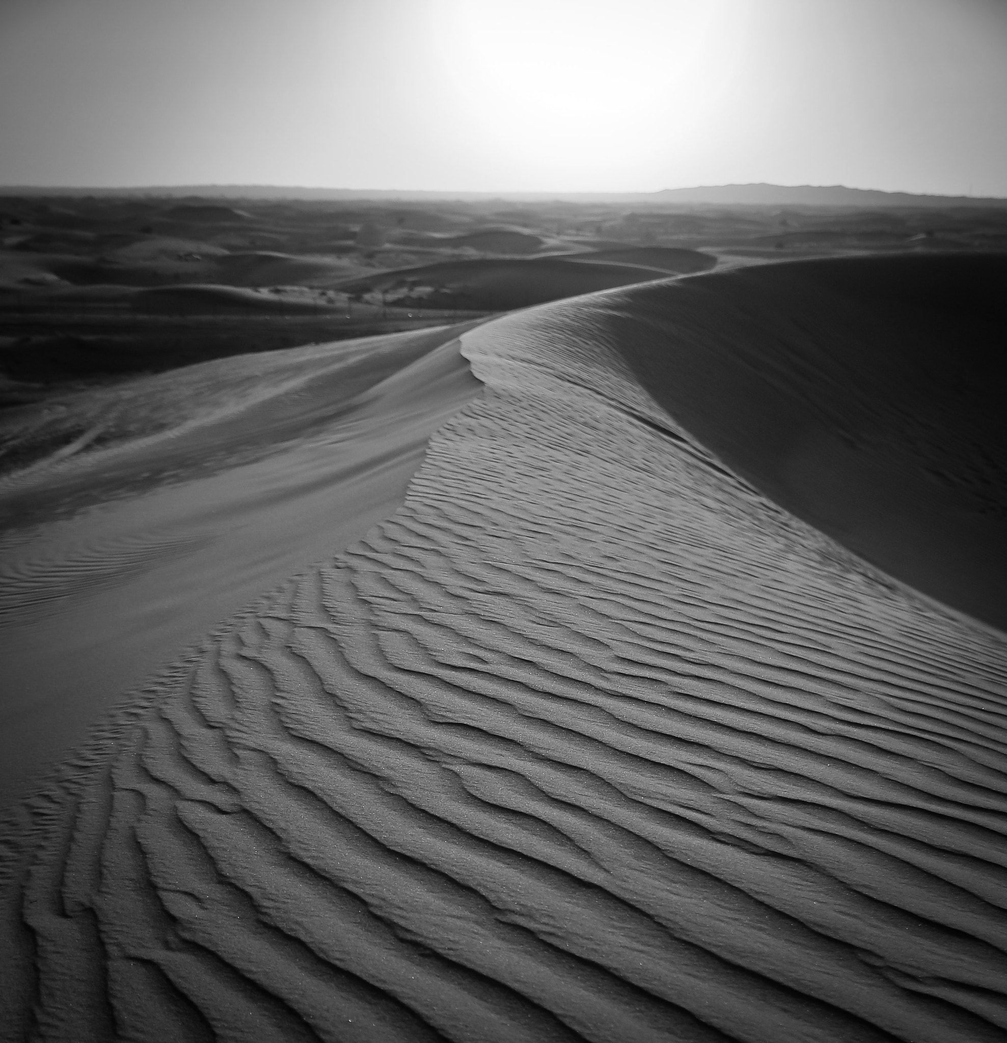 Nikon D300S + Sigma 18-50mm F2.8 EX DC Macro sample photo. Sand photography