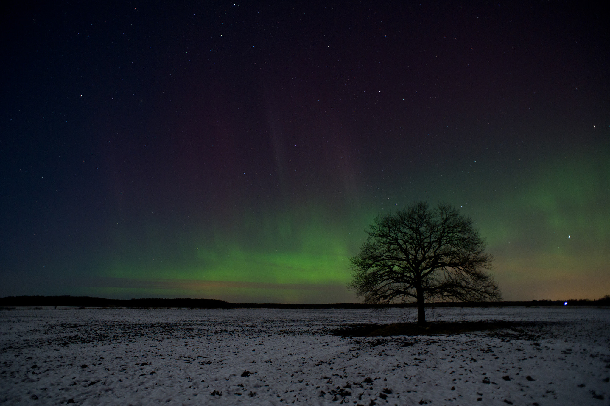 Nikon D3S + AF Nikkor 20mm f/2.8 sample photo. Northern lights in estonia photography