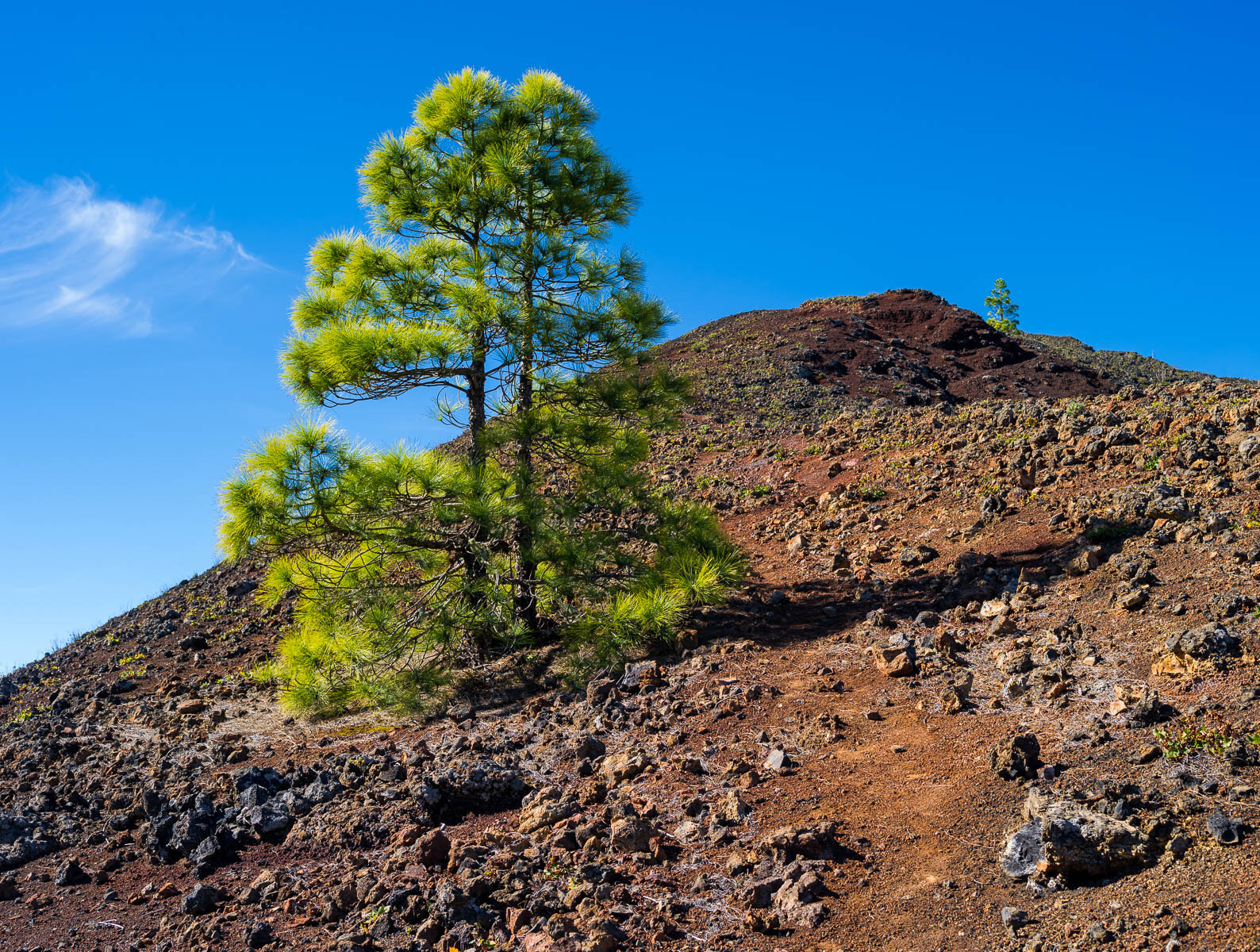 Pentax 645D sample photo. Red green blue photography