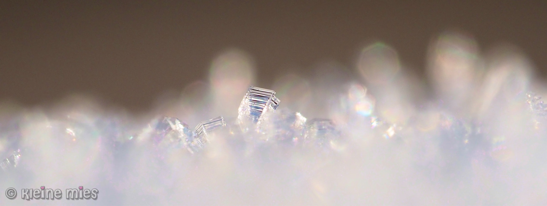 Panasonic Leica DG Macro-Elmarit 45mm F2.8 ASPH OIS sample photo. Ice ice baby photography