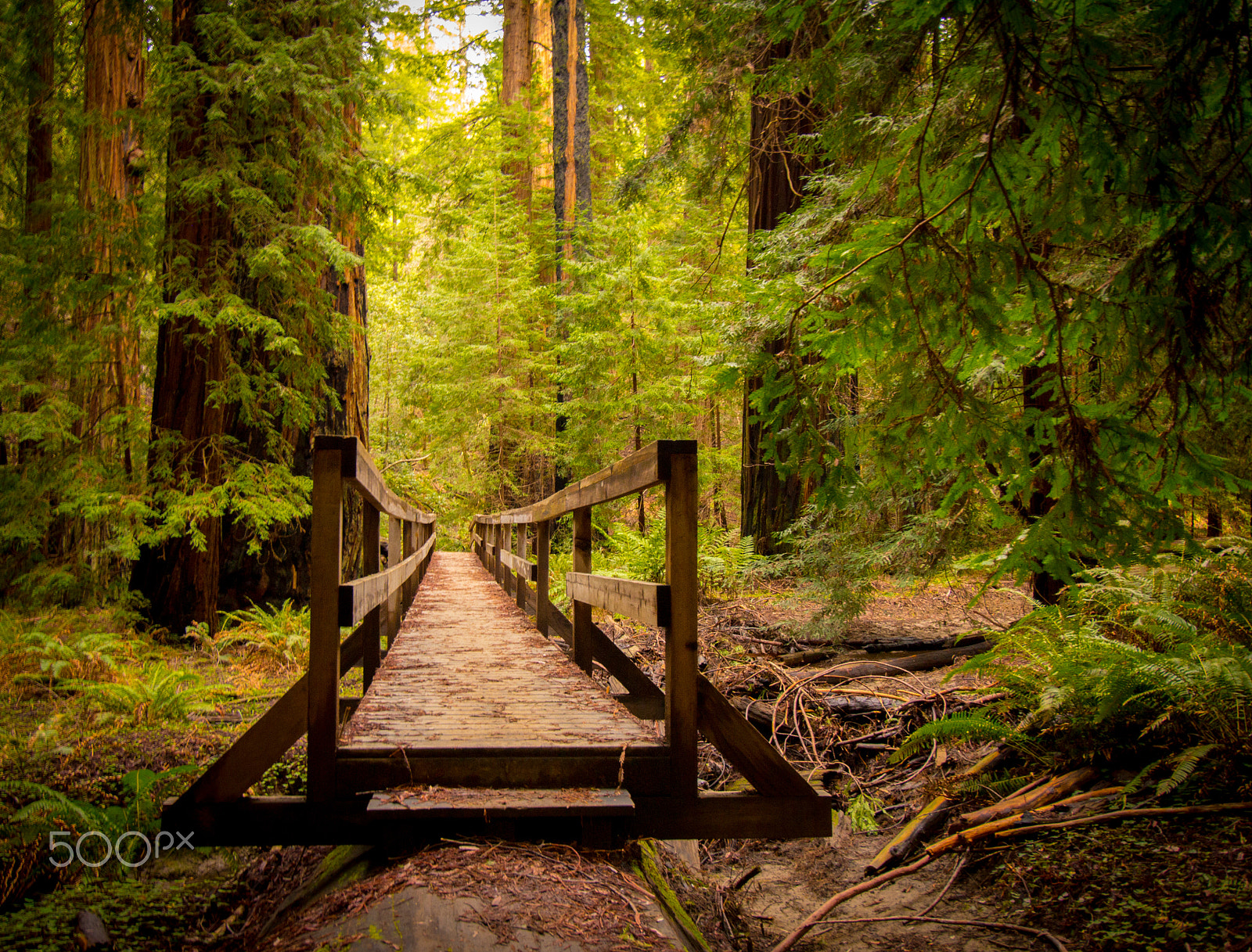 Canon EF-S 10-18mm F4.5–5.6 IS STM sample photo. Redwoodsbridge photography