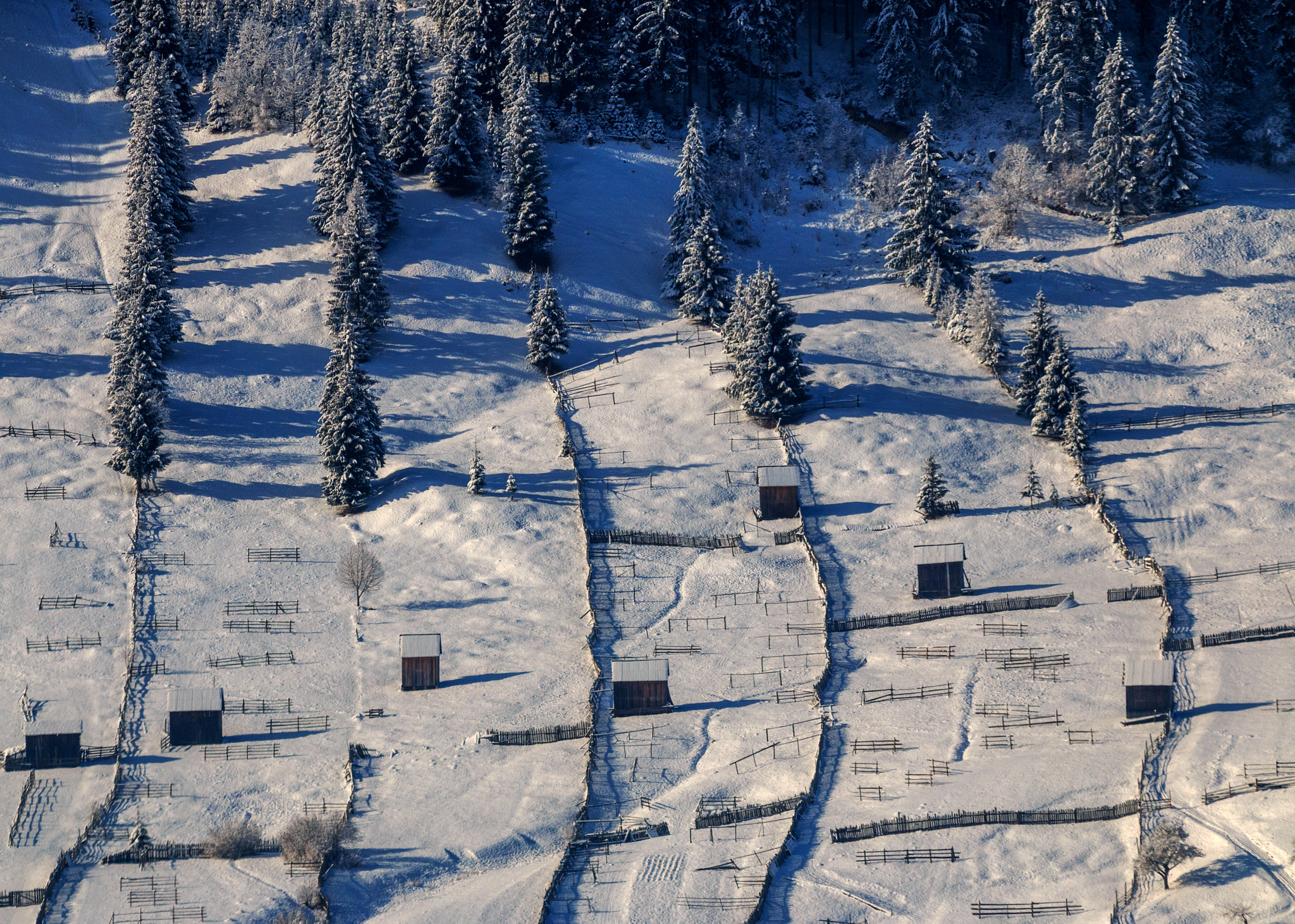 Canon EOS 70D + Canon EF 70-210mm f/4 sample photo. Winter  story to sadova photography