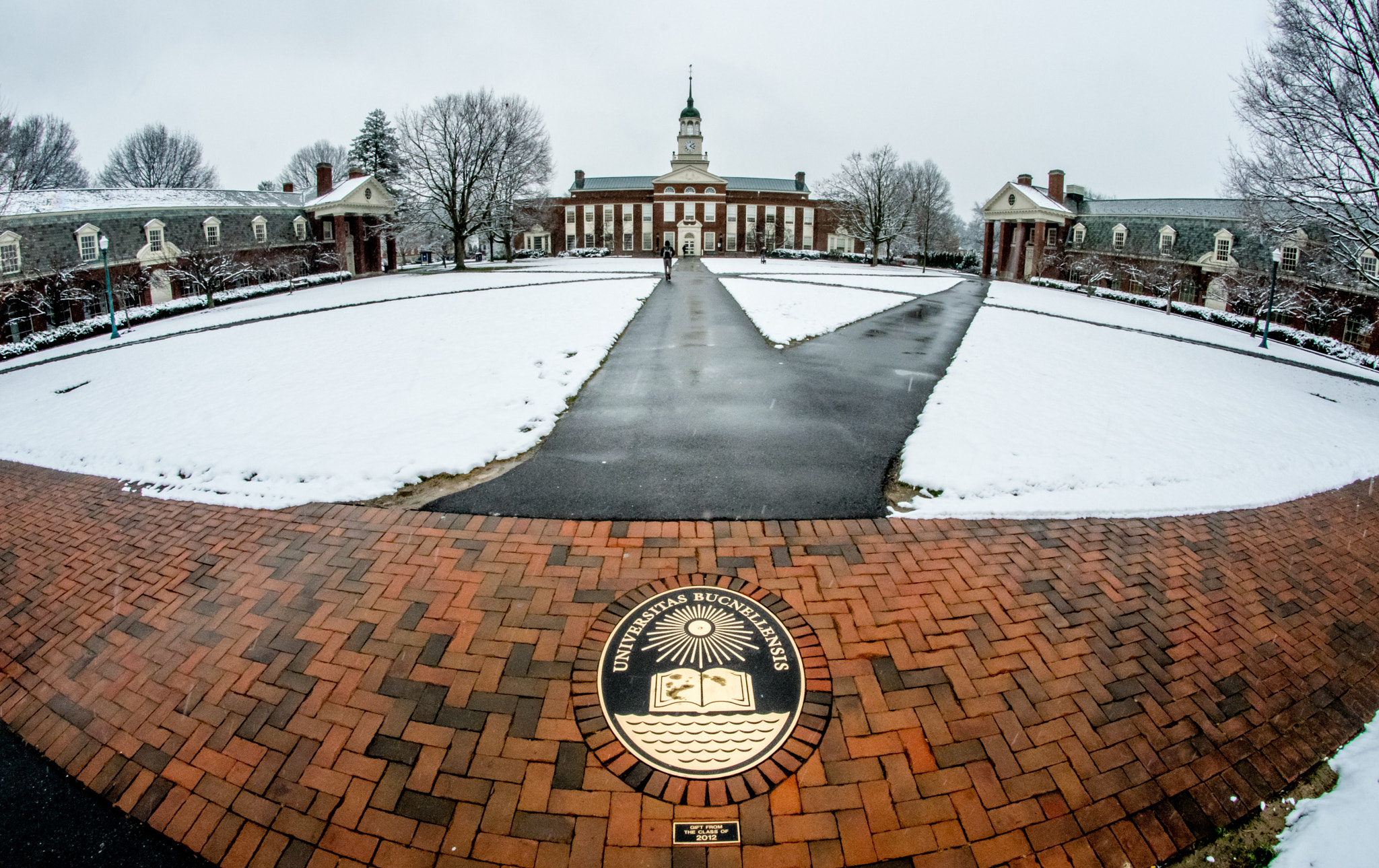 Nikon D3300 + Samyang 8mm F3.5 Aspherical IF MC Fisheye sample photo. Winter campus photography