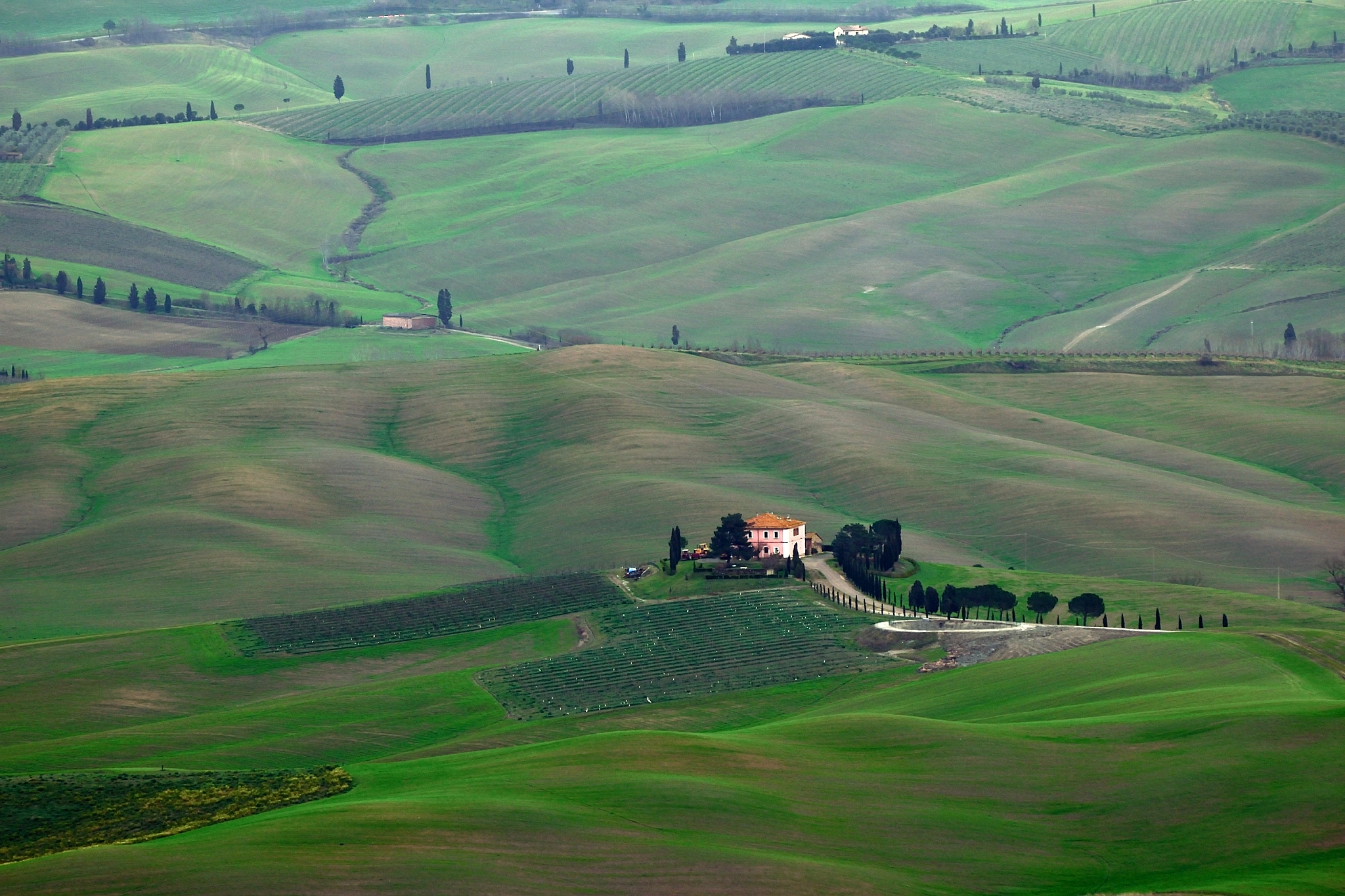 Sigma 150-600mm F5-6.3 DG OS HSM | C sample photo. This morning in tuscany photography