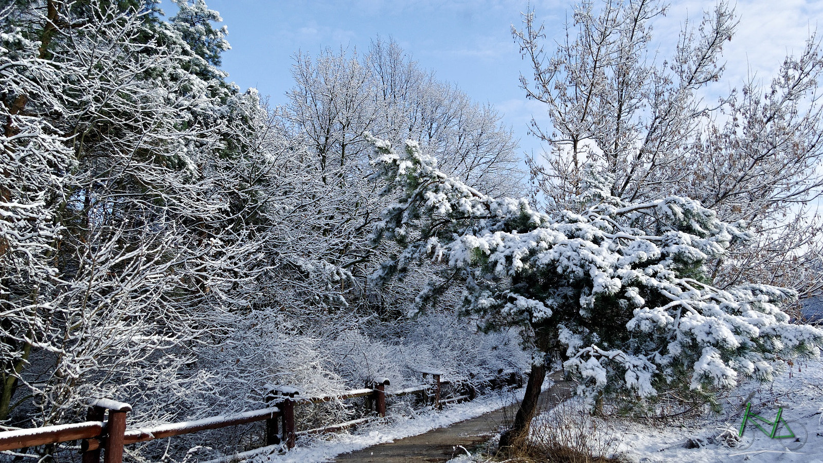 Pentax K10D sample photo. Snowy day photography