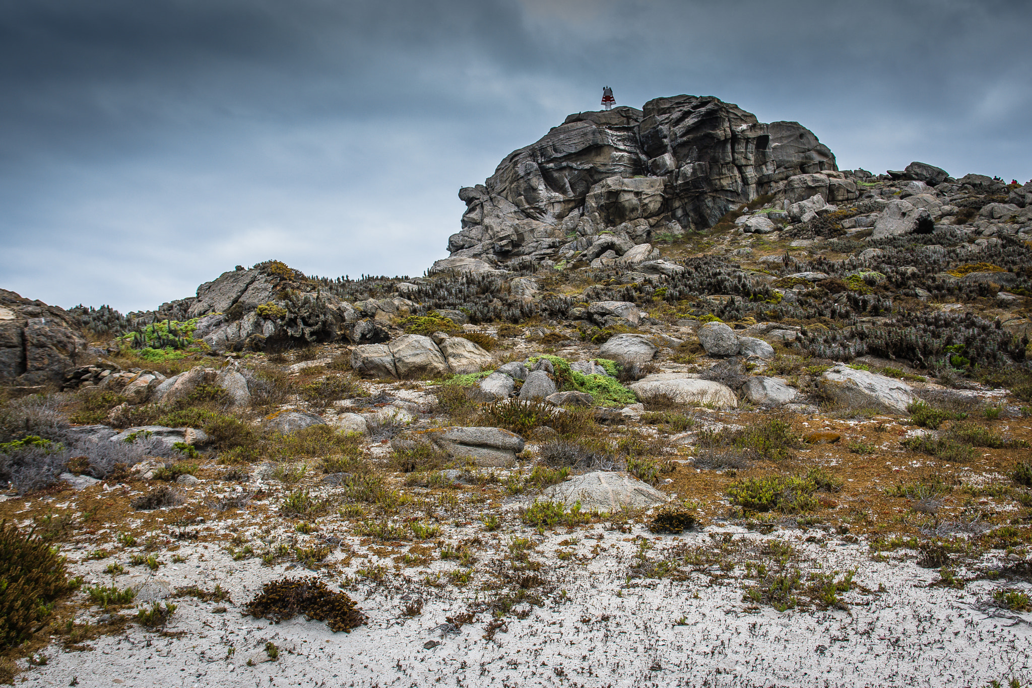 Sigma 17-70mm F2.8-4 DC Macro OS HSM | C sample photo. Isla damas photography