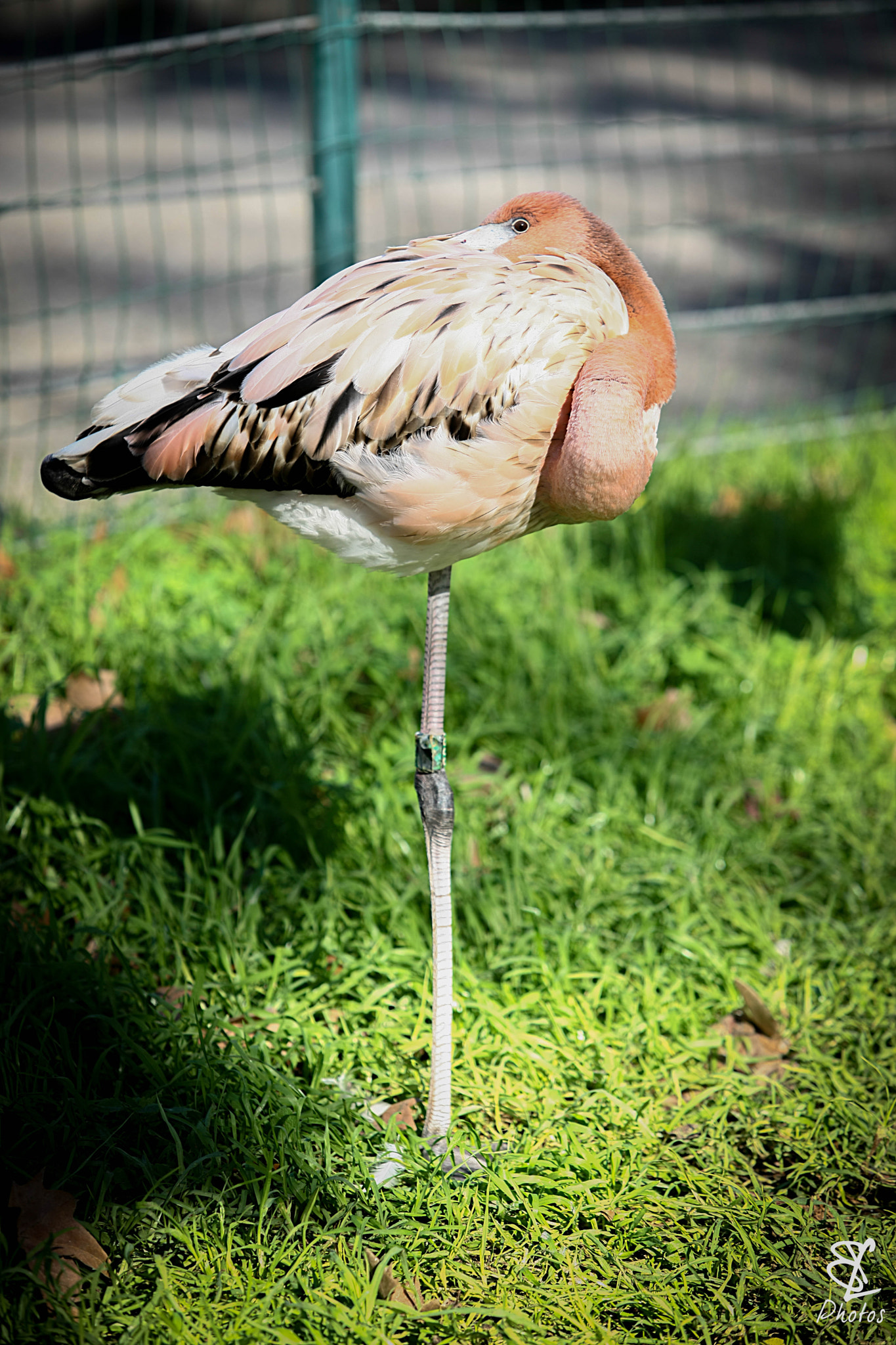 Canon EOS-1Ds Mark III sample photo. Equilibrio photography