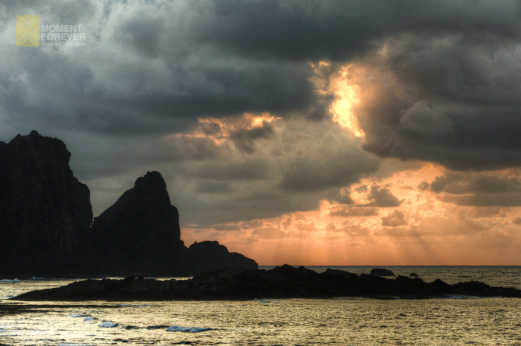 AF-S Zoom-Nikkor 80-200mm f/2.8D IF-ED sample photo. Good morning orchid island photography