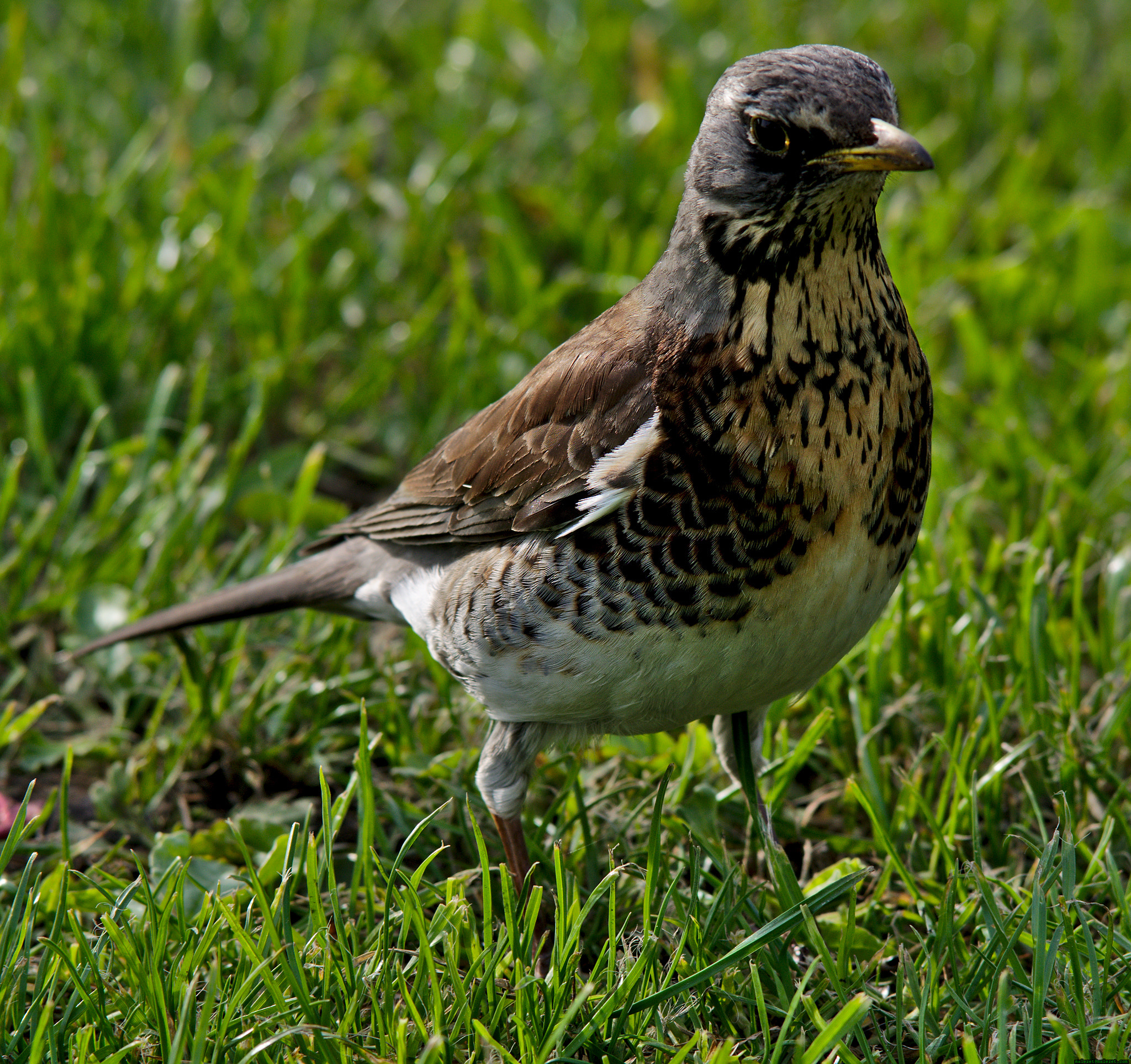 Pentax K-3 sample photo