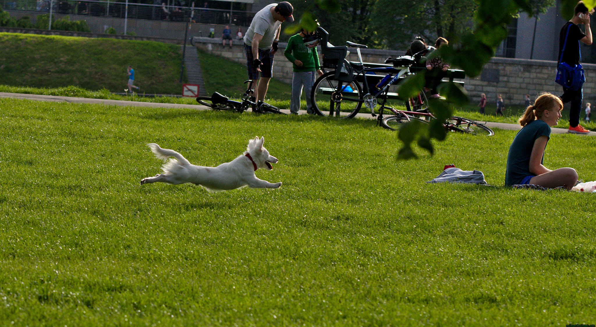Pentax K-3 sample photo