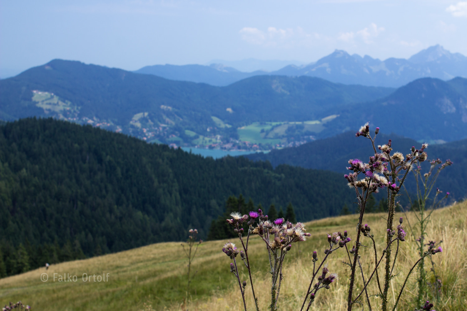 Canon EOS 600D (Rebel EOS T3i / EOS Kiss X5) + Canon EF 35mm F2 sample photo. Alpine panorama photography