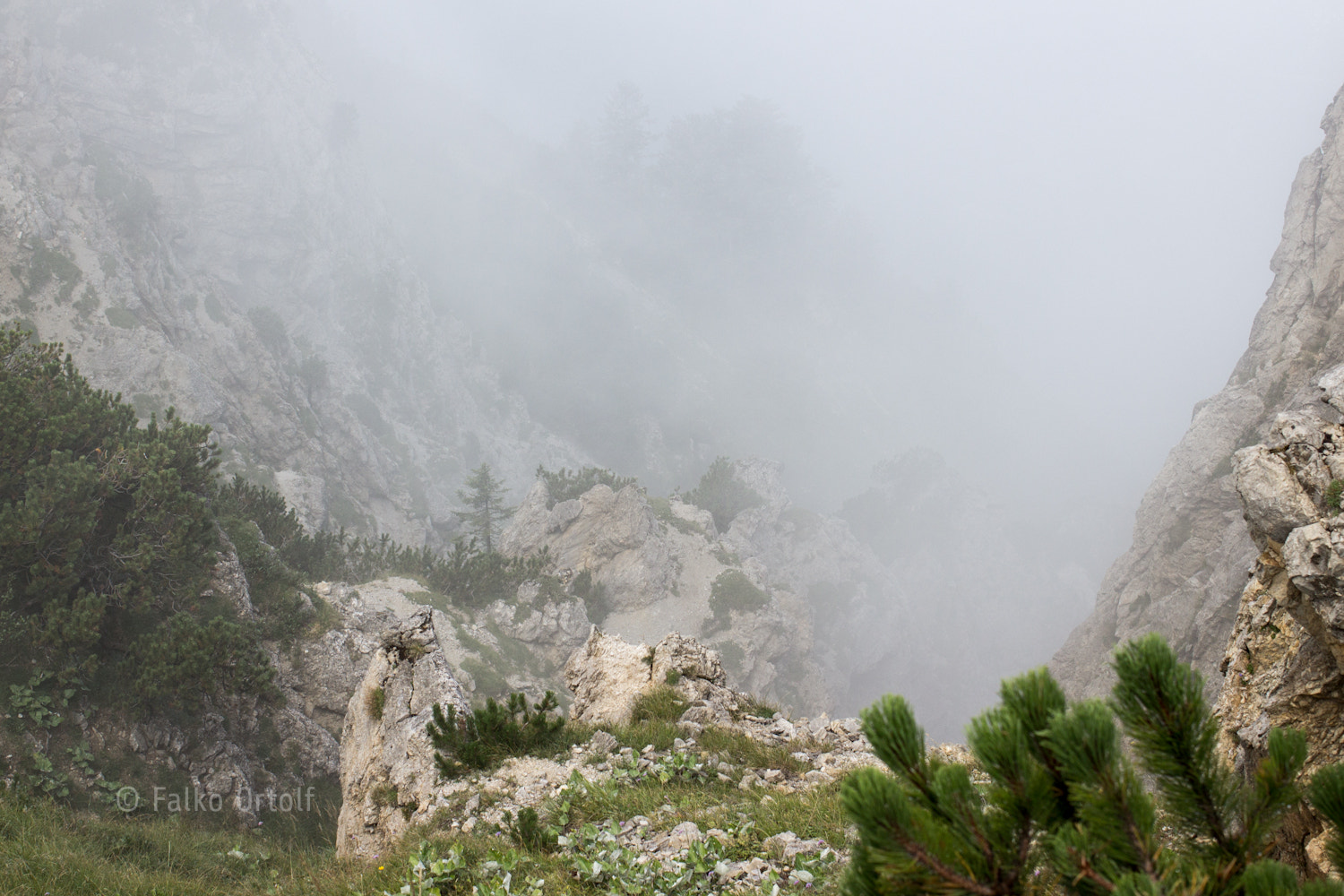 Canon EOS 600D (Rebel EOS T3i / EOS Kiss X5) + Canon EF 35mm F2 sample photo. Fog in the alps photography