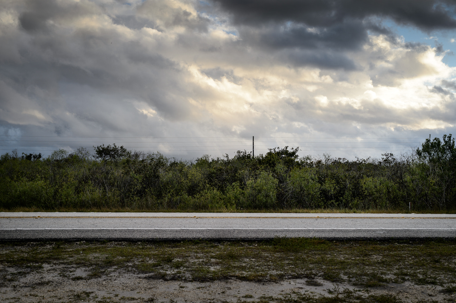 Nikon Df + ZEISS Planar T* 50mm F1.4 sample photo. Somewhere in the everglades photography