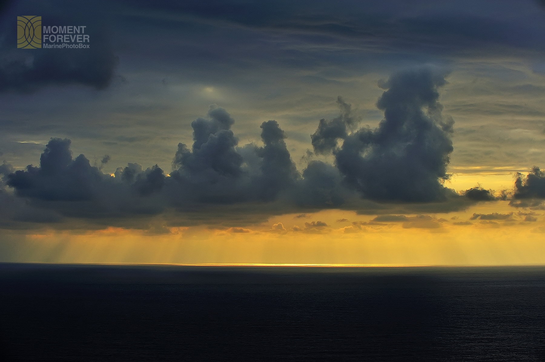 AF-S Zoom-Nikkor 80-200mm f/2.8D IF-ED sample photo. Good morning orchid island 2 photography