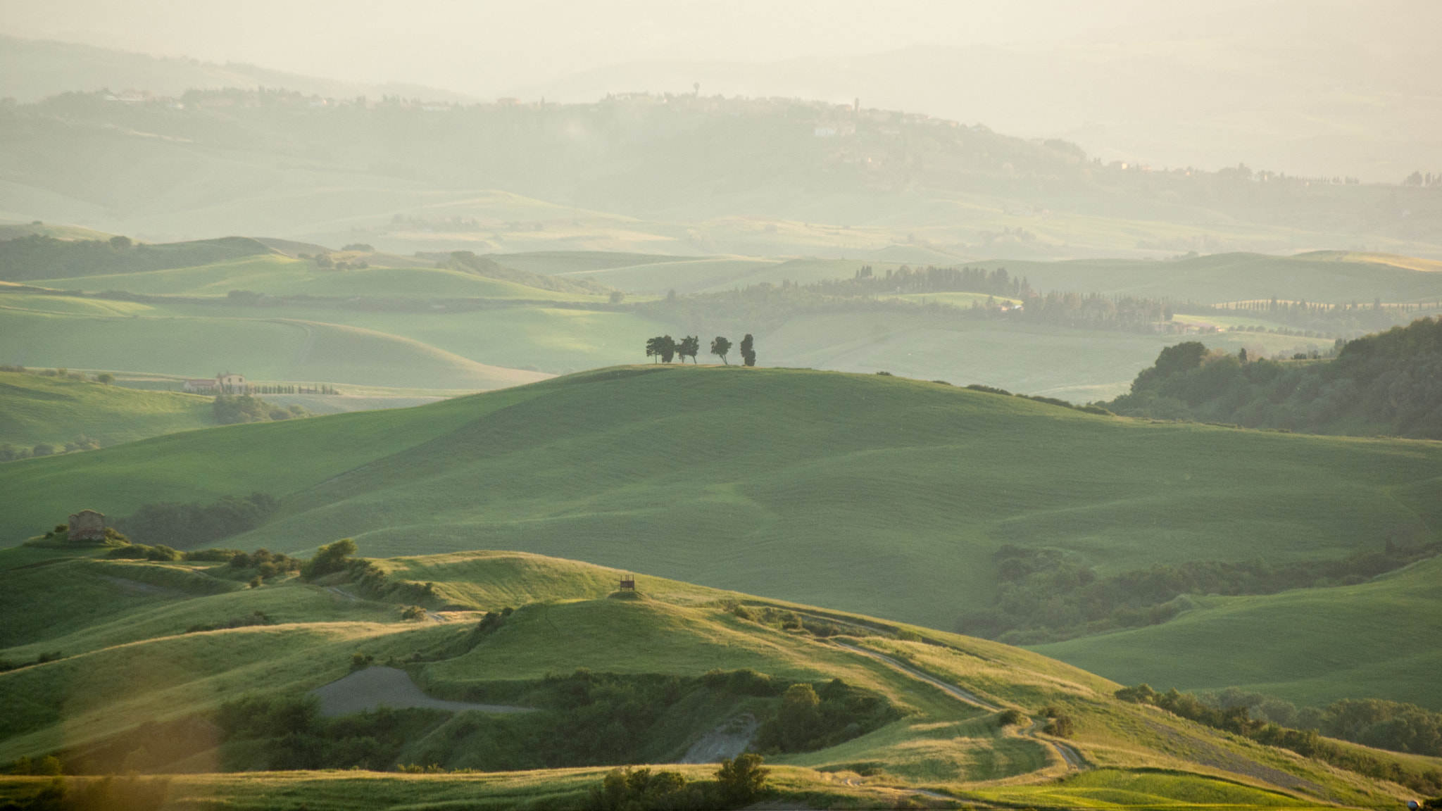 Pentax K200D + Pentax smc DA 50-200mm F4-5.6 ED sample photo. Les trois arbres photography