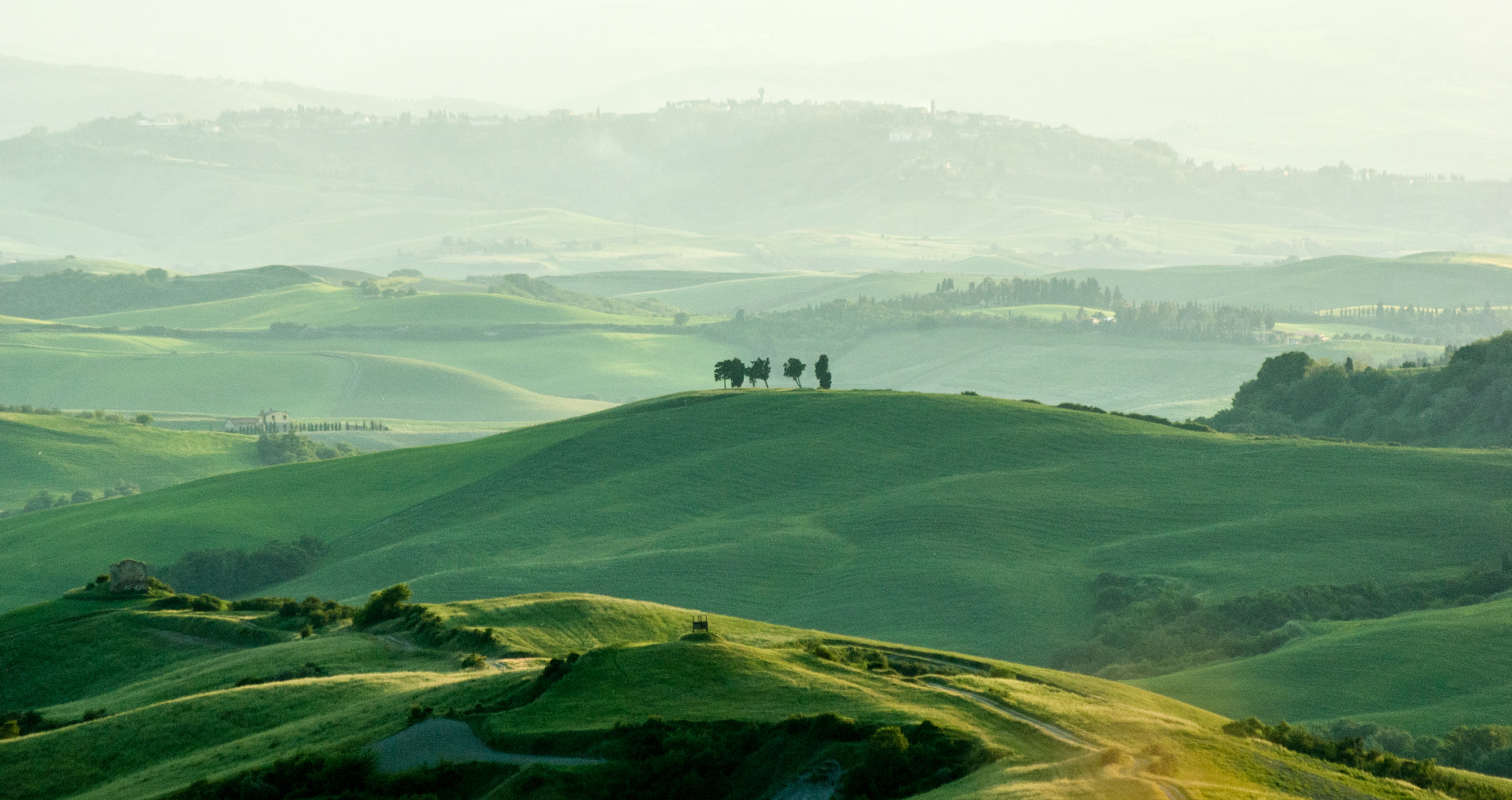 Pentax smc DA 50-200mm F4-5.6 ED sample photo. Gilleslafleur photography